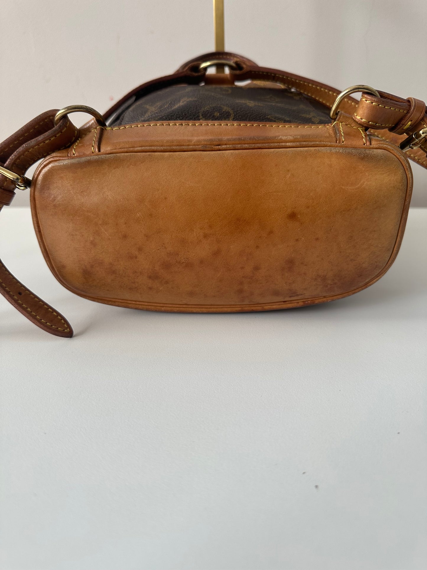 Louis Vuitton Montsouris Mini