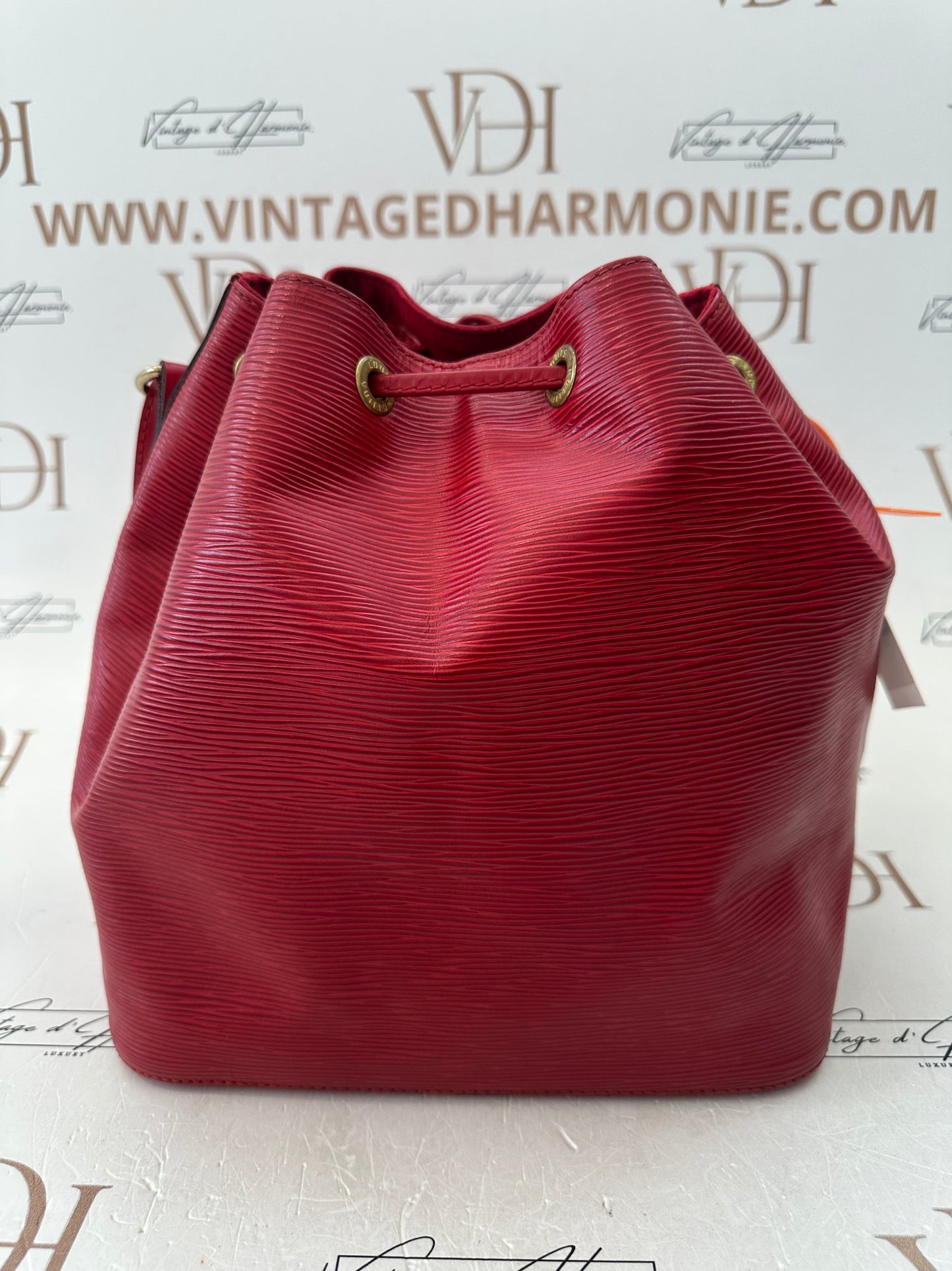 017933 - Louis Vuitton Red Epi Noè