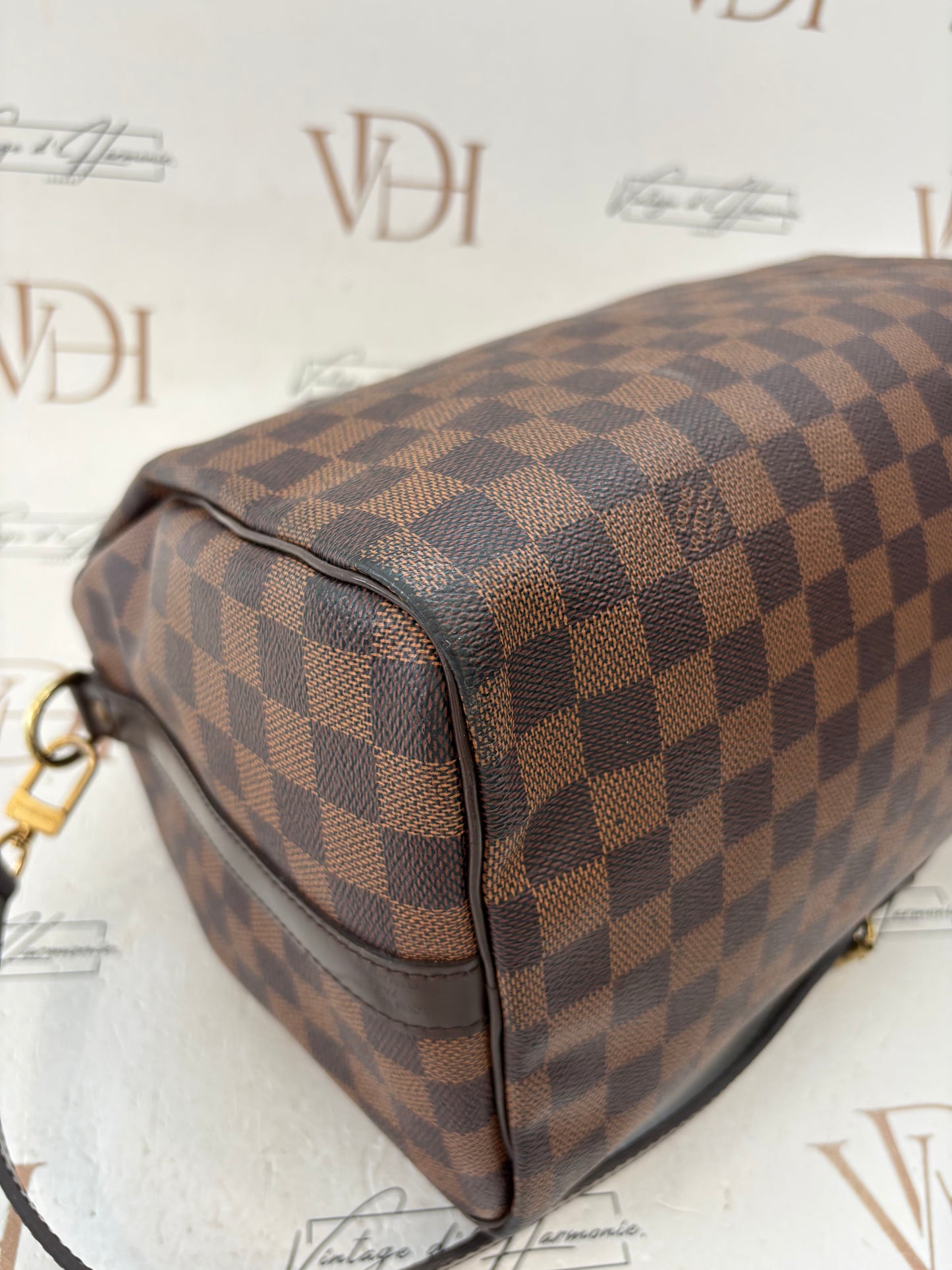 201773 - Louis Vuitton Speedy 30
