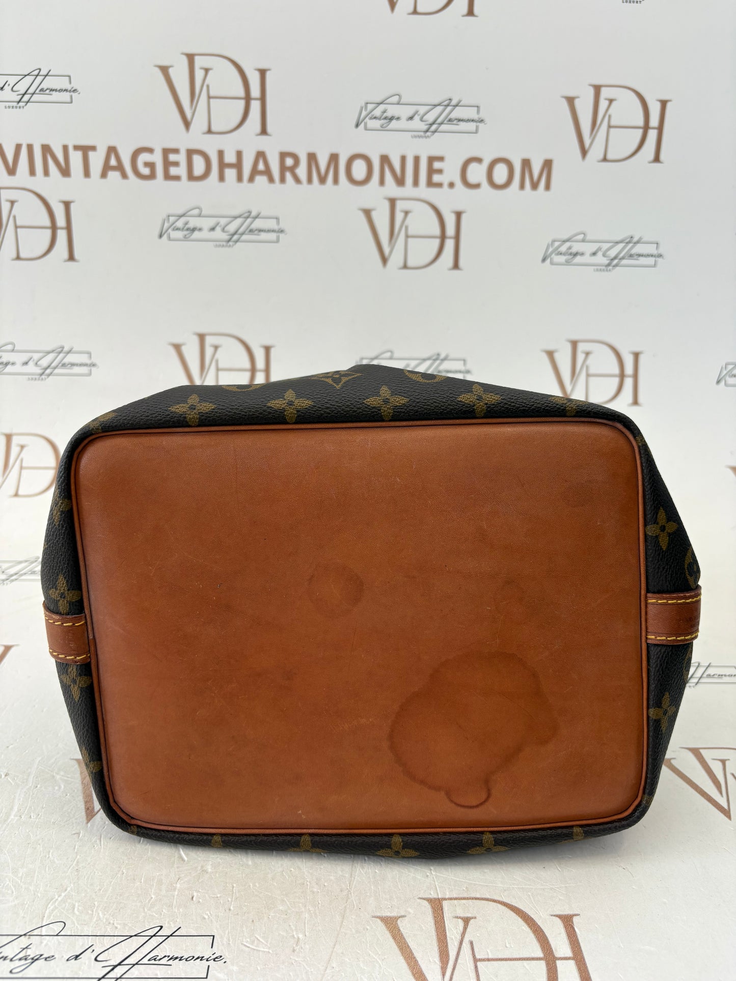 018694 - Louis Vuitton Petite Noe