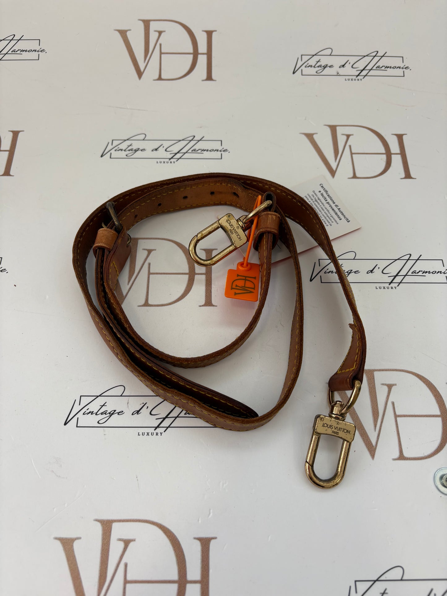 018718 - Louis Vuitton tracolla
