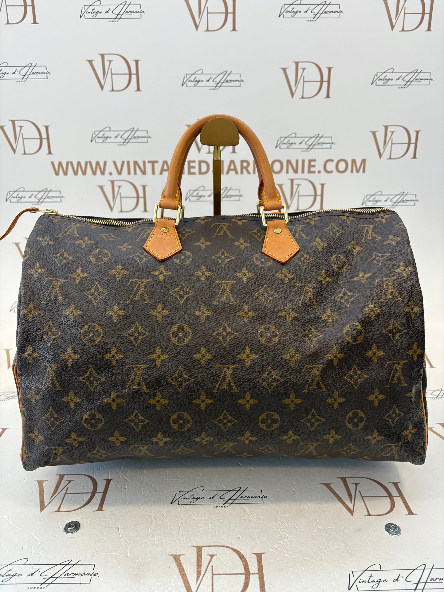 018862 - Louis Vuitton Speedy 40