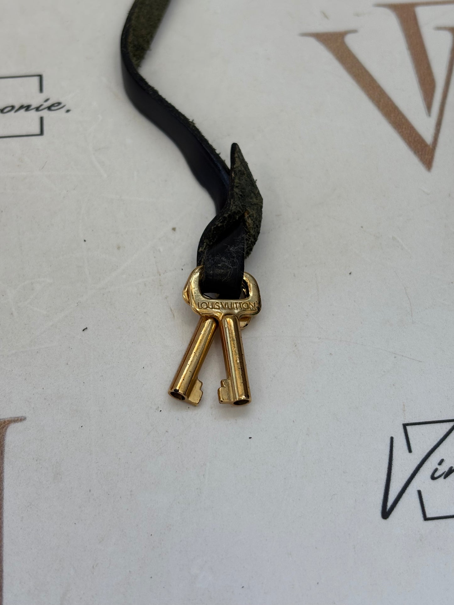 017133 - Louis Vuitton Epi Biface