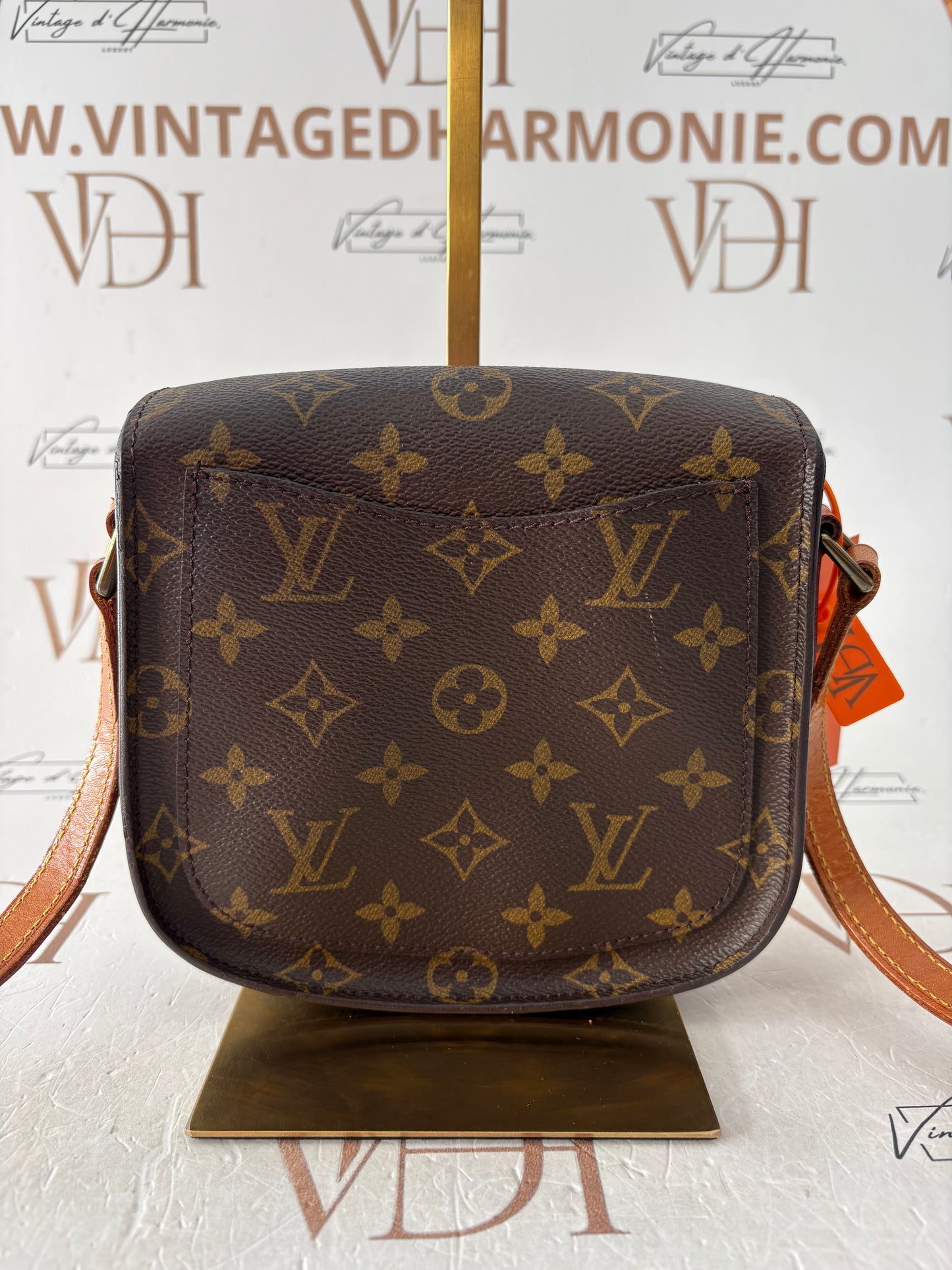 018920 - Louis Vuitton Saint Cloud PM