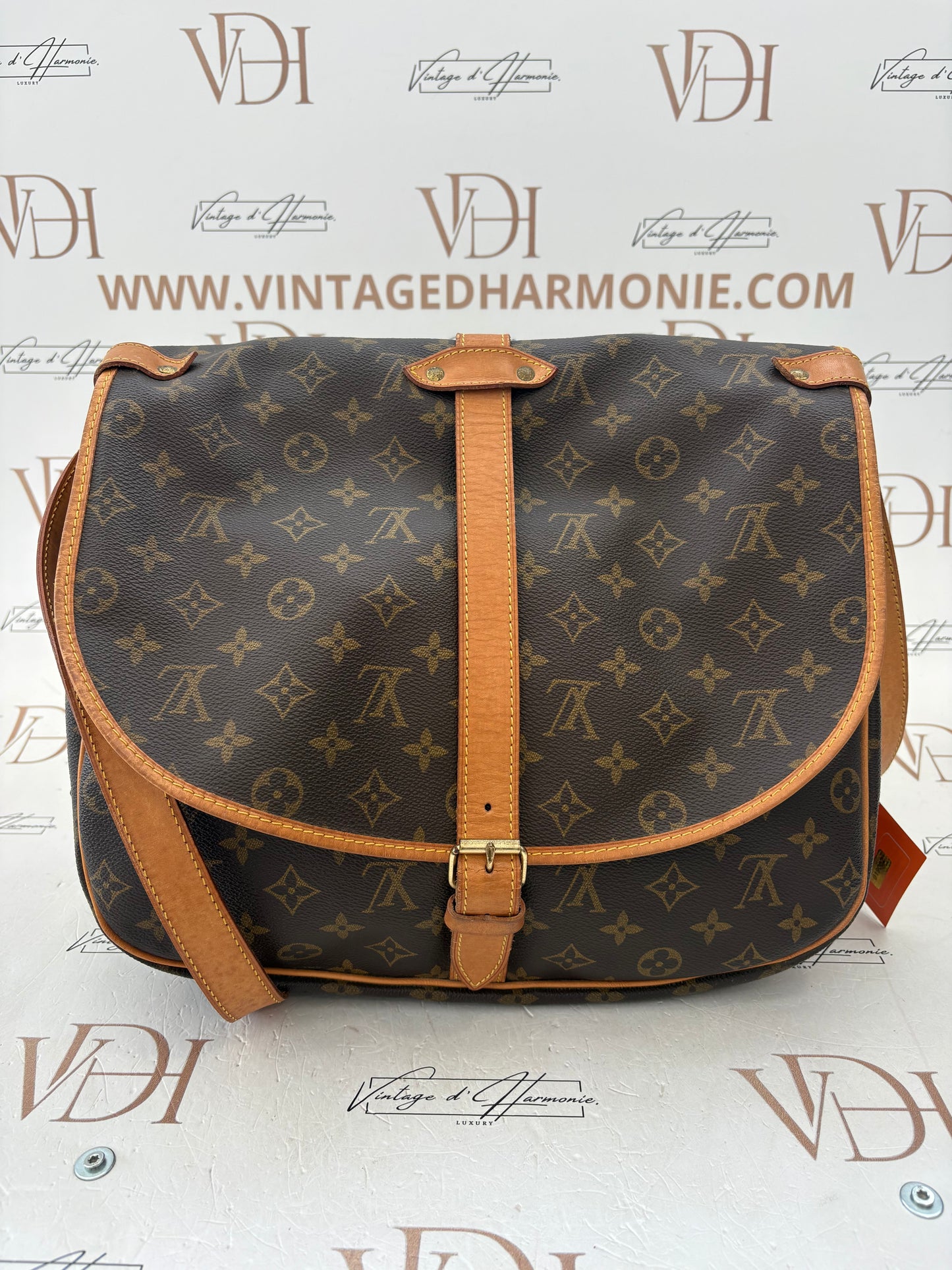 019002 - Louis Vuitton Saumur 35
