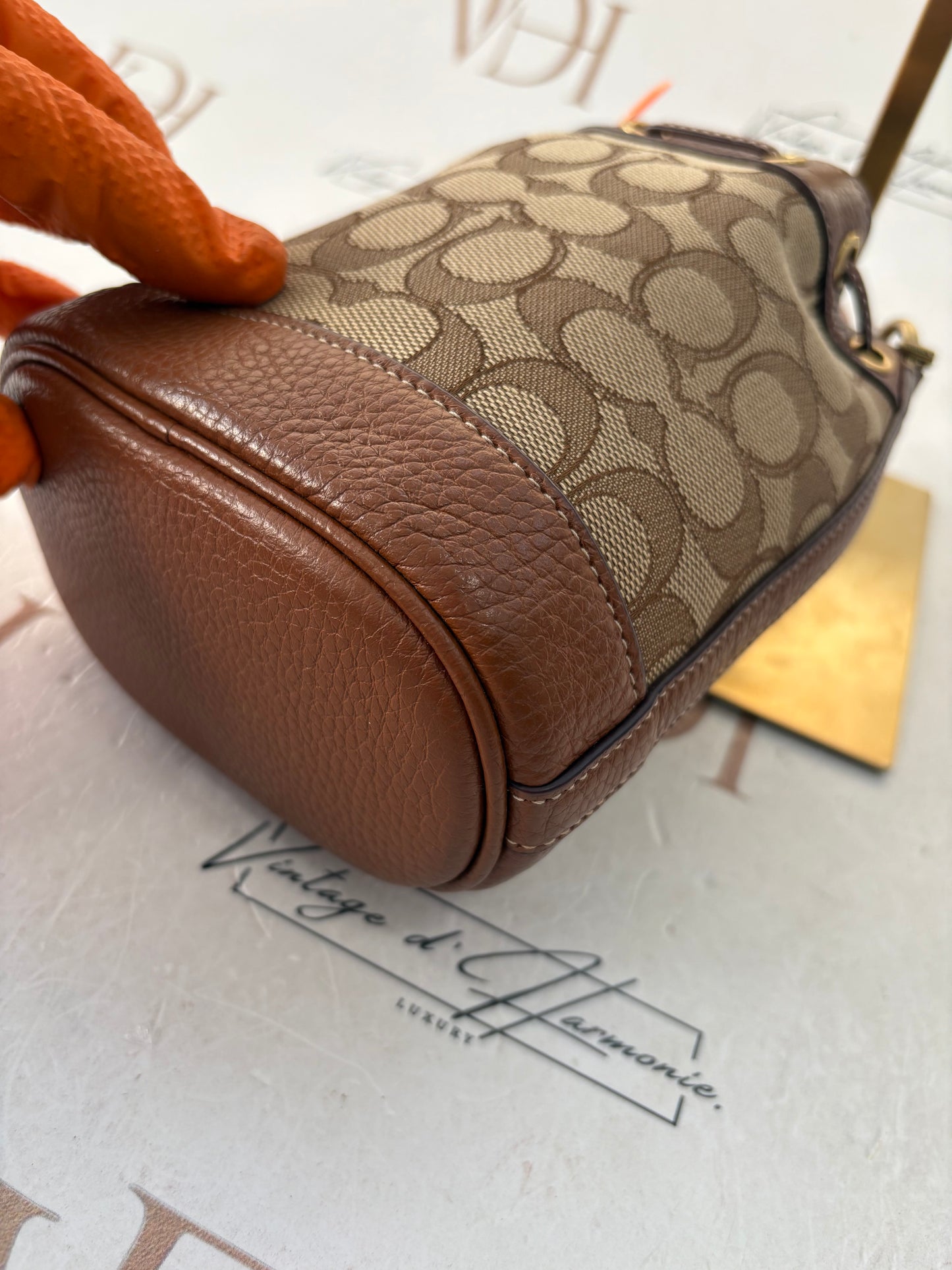 382692 - Coach Disney