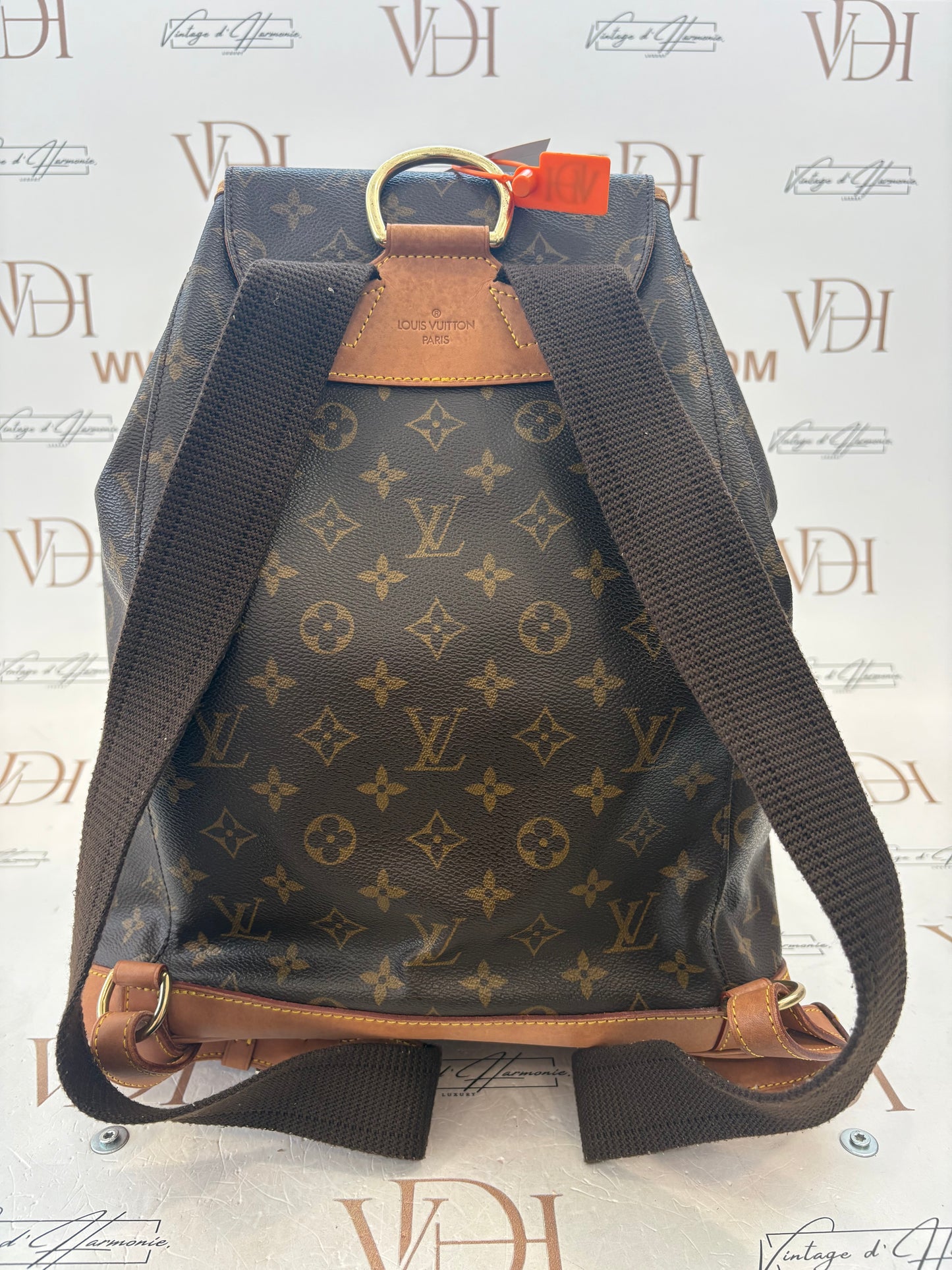 018911 - Louis Vuitton Montsouris GM