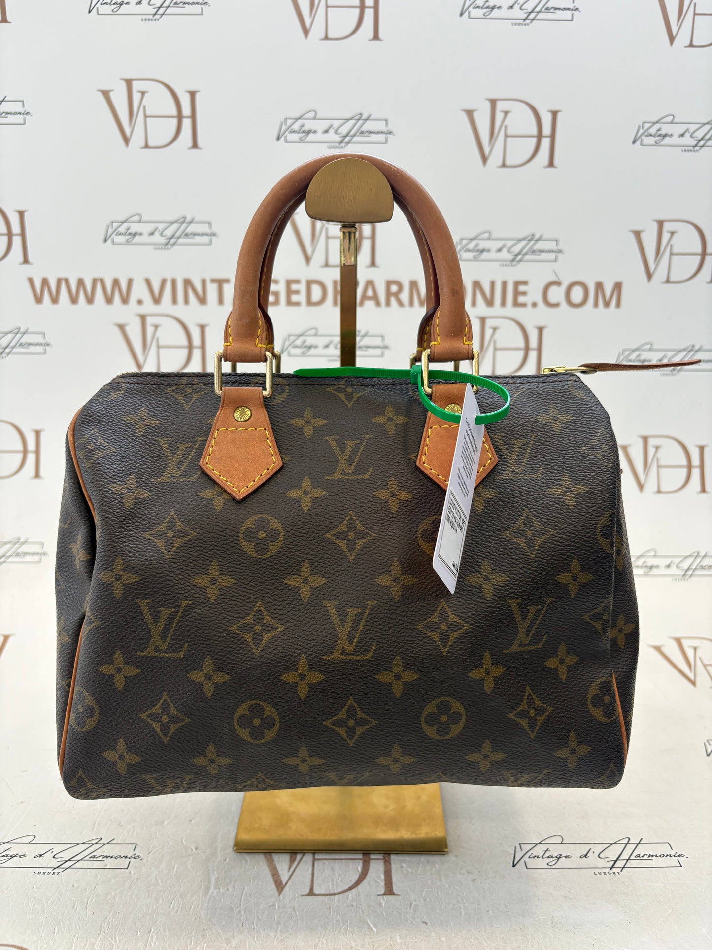 017100 - Louis Vuitton Speedy 25