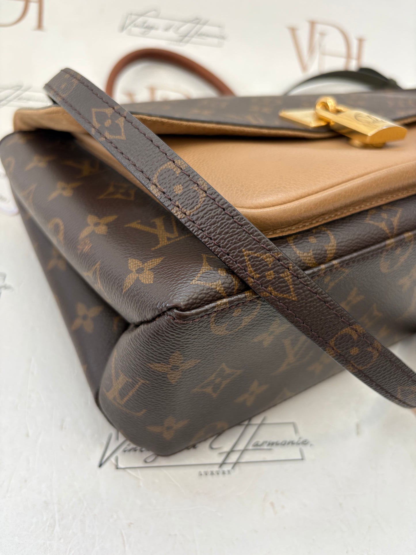 383609 - Louis Vuitton Marignan