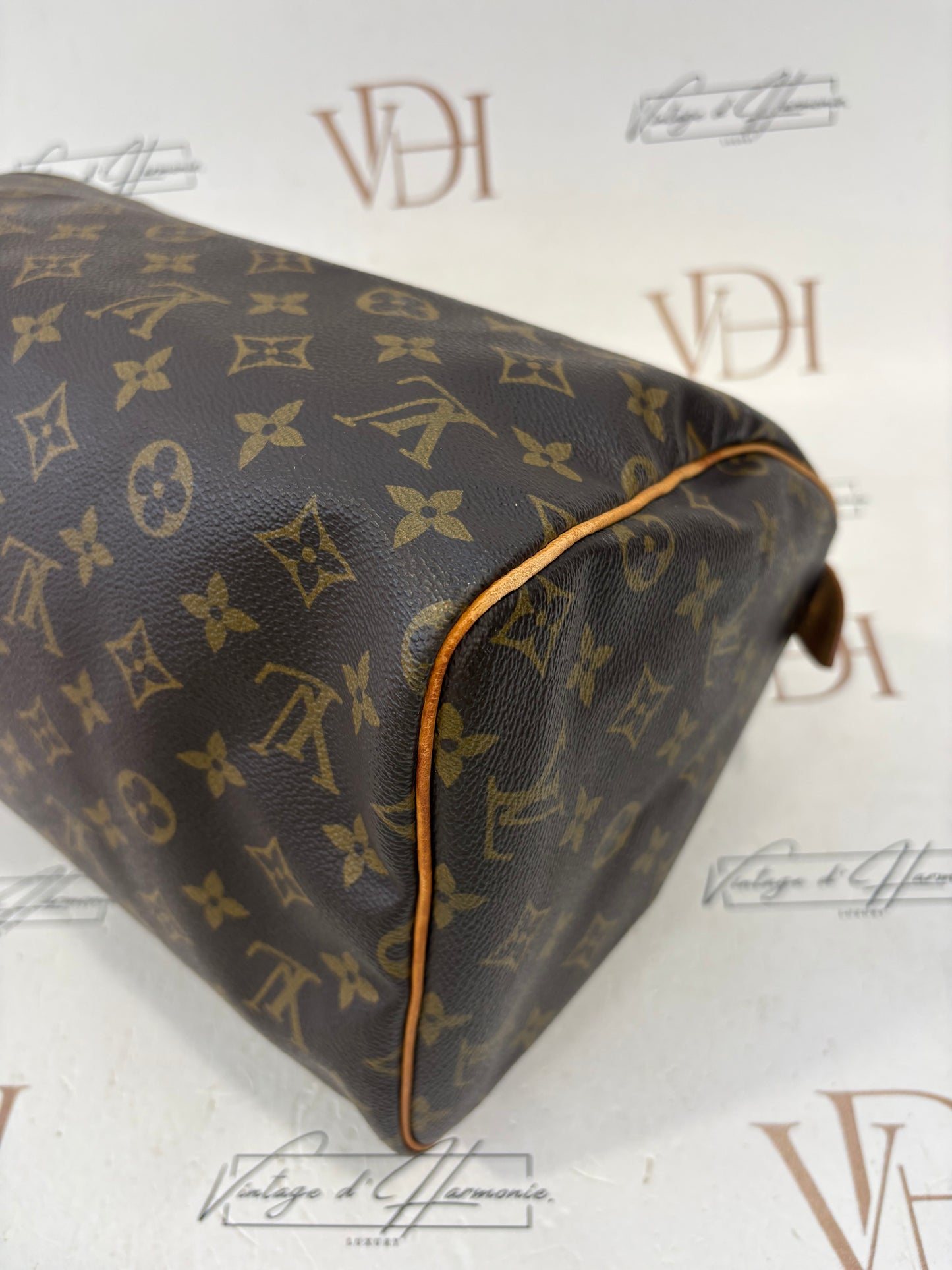 018251 - Louis Vuitton Speedy 30