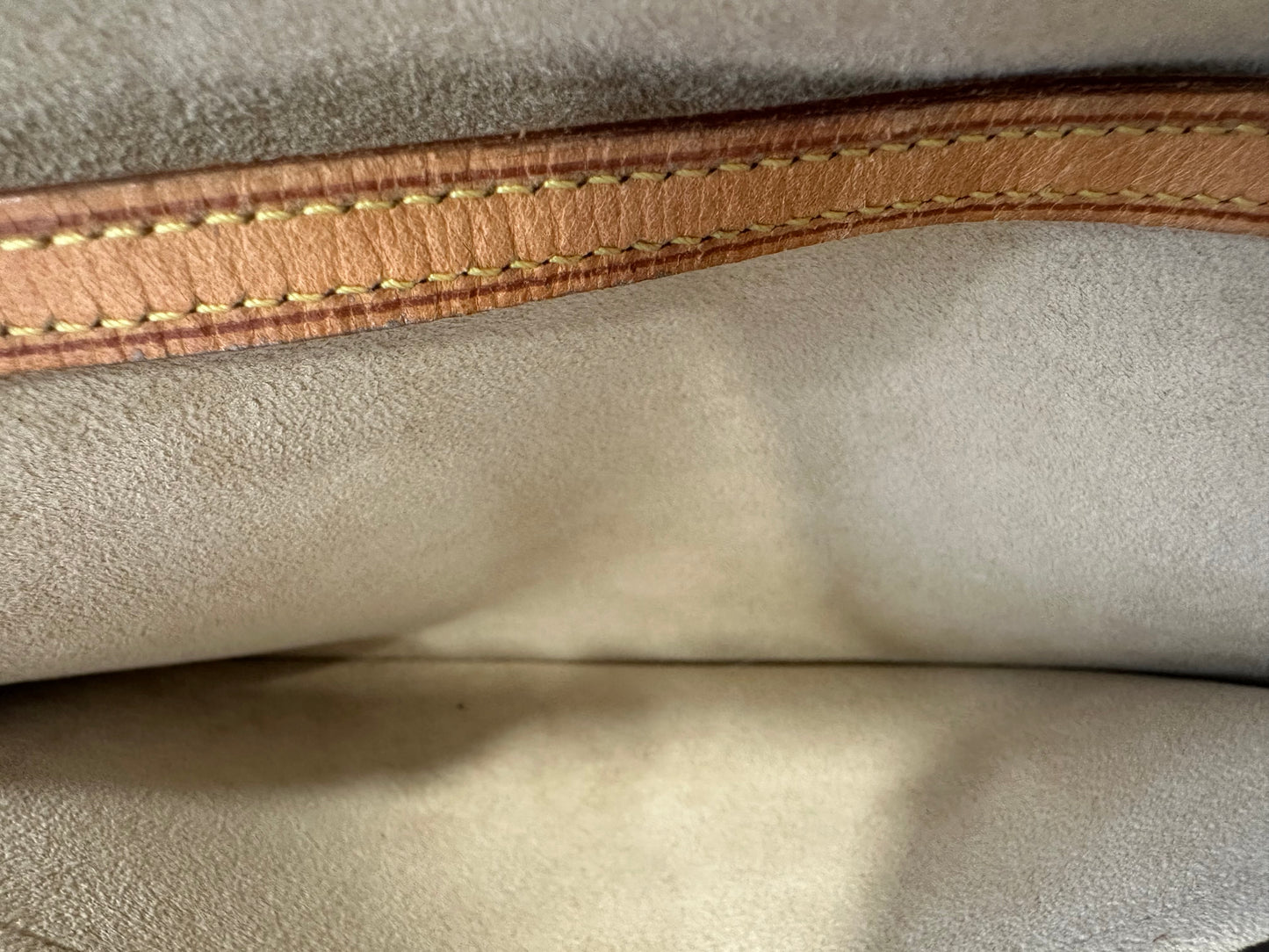 Louis Vuitton Pochette Twin GM