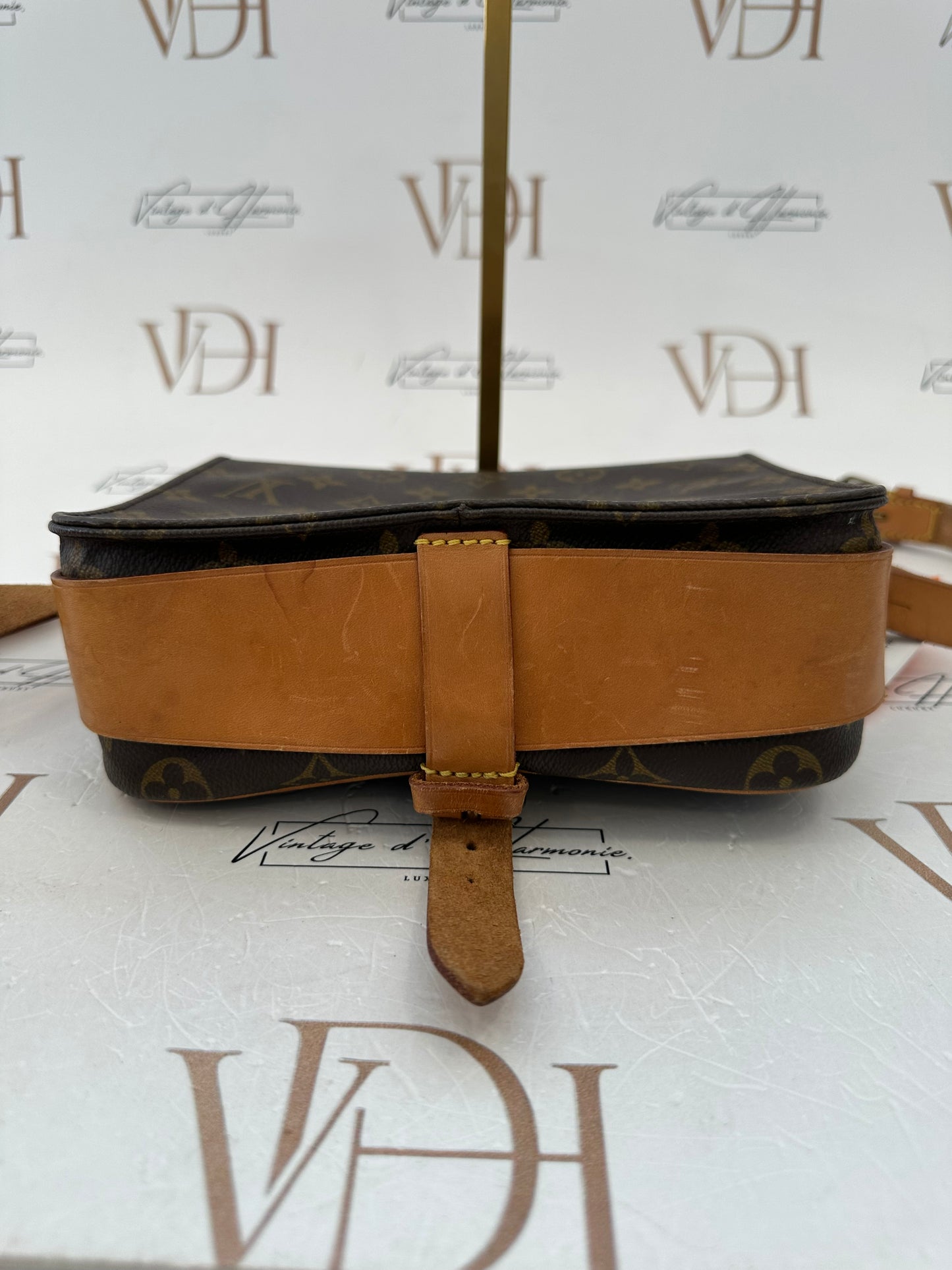 017827 - Louis Vuitton Cartouchiere MM