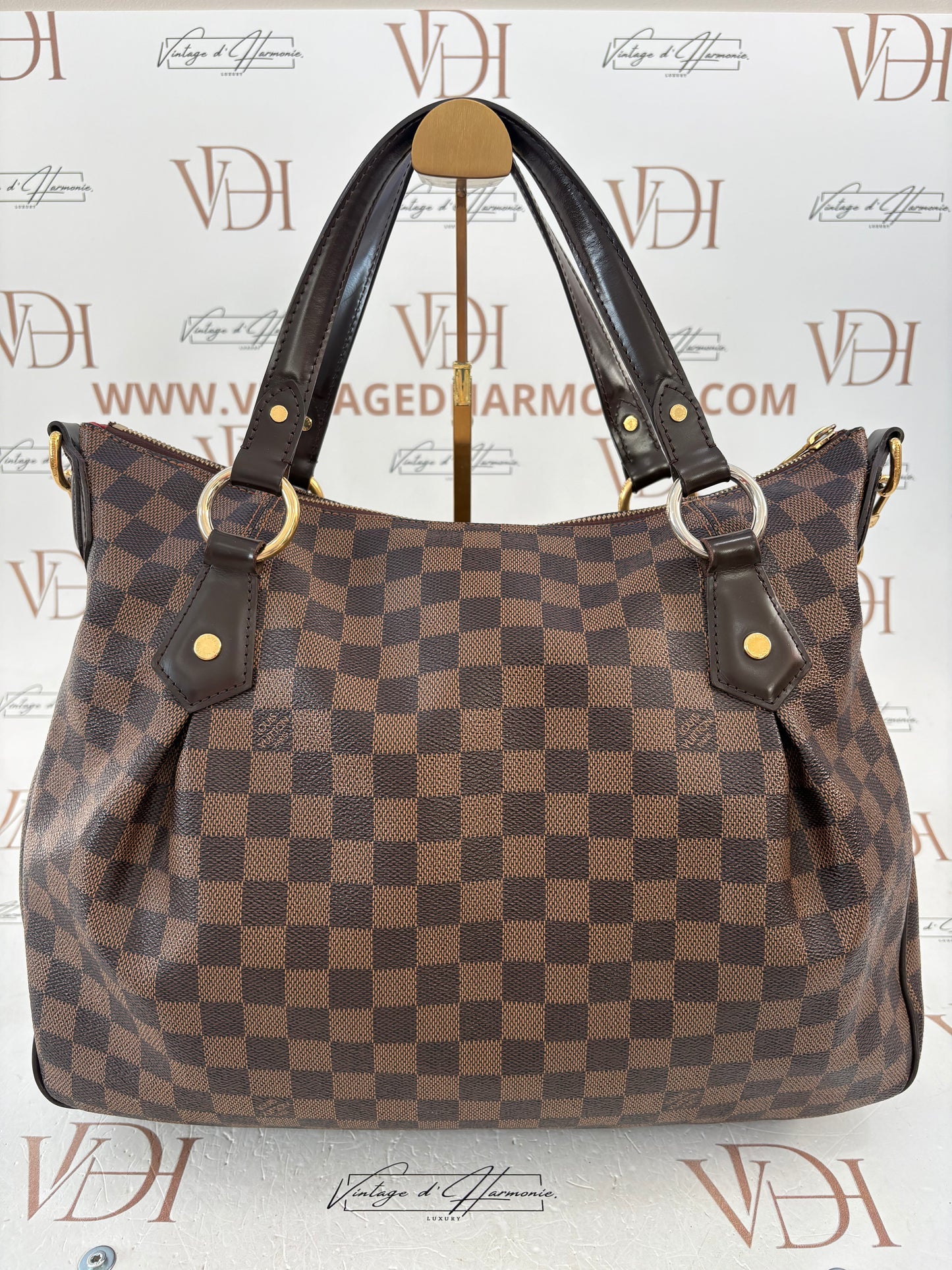 018528 - Louis Vuitton Damier Evora MM