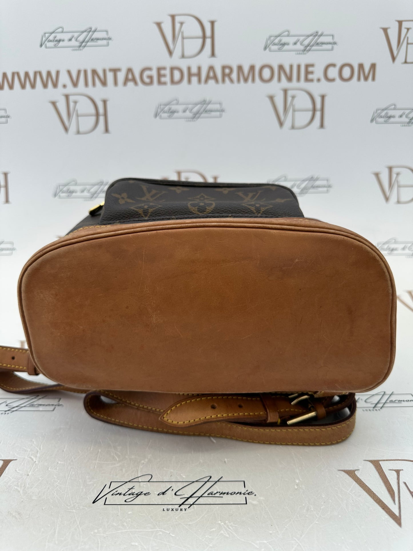 016867 - Louis Vuitton Montsouris MM
