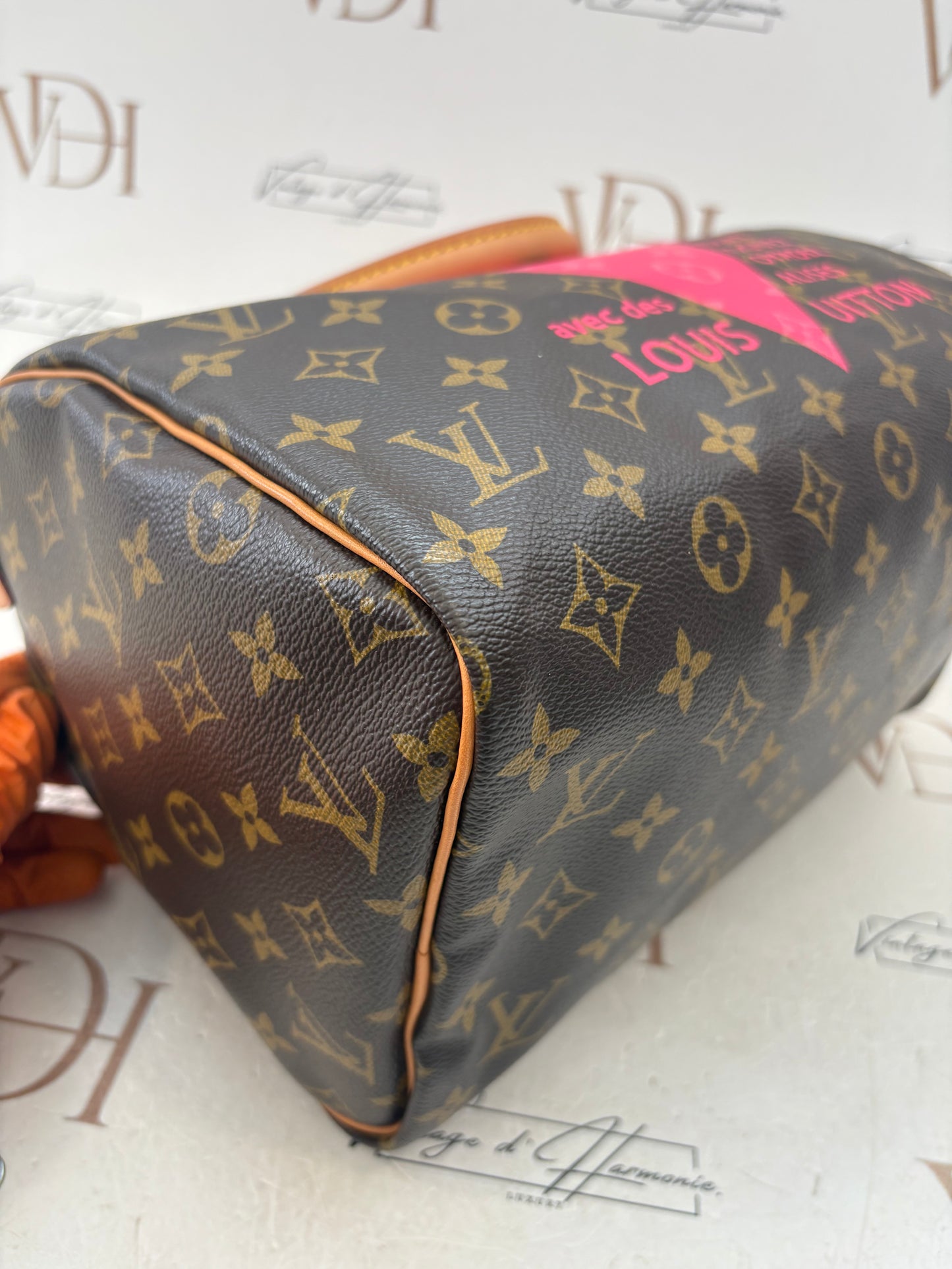 384207 - Louis Vuitton Speedy 30