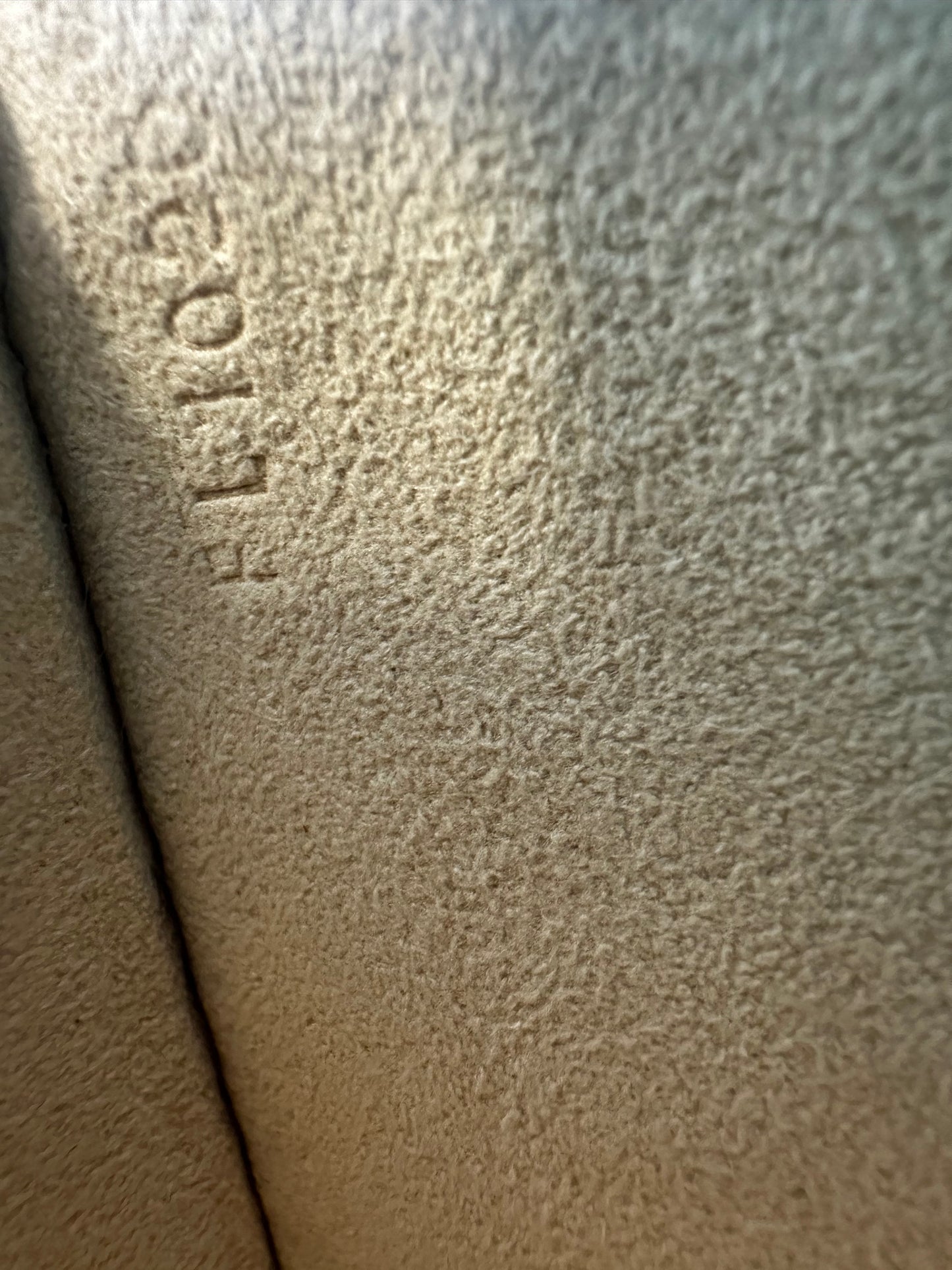 Louis Vuitton Pochette Twin GM