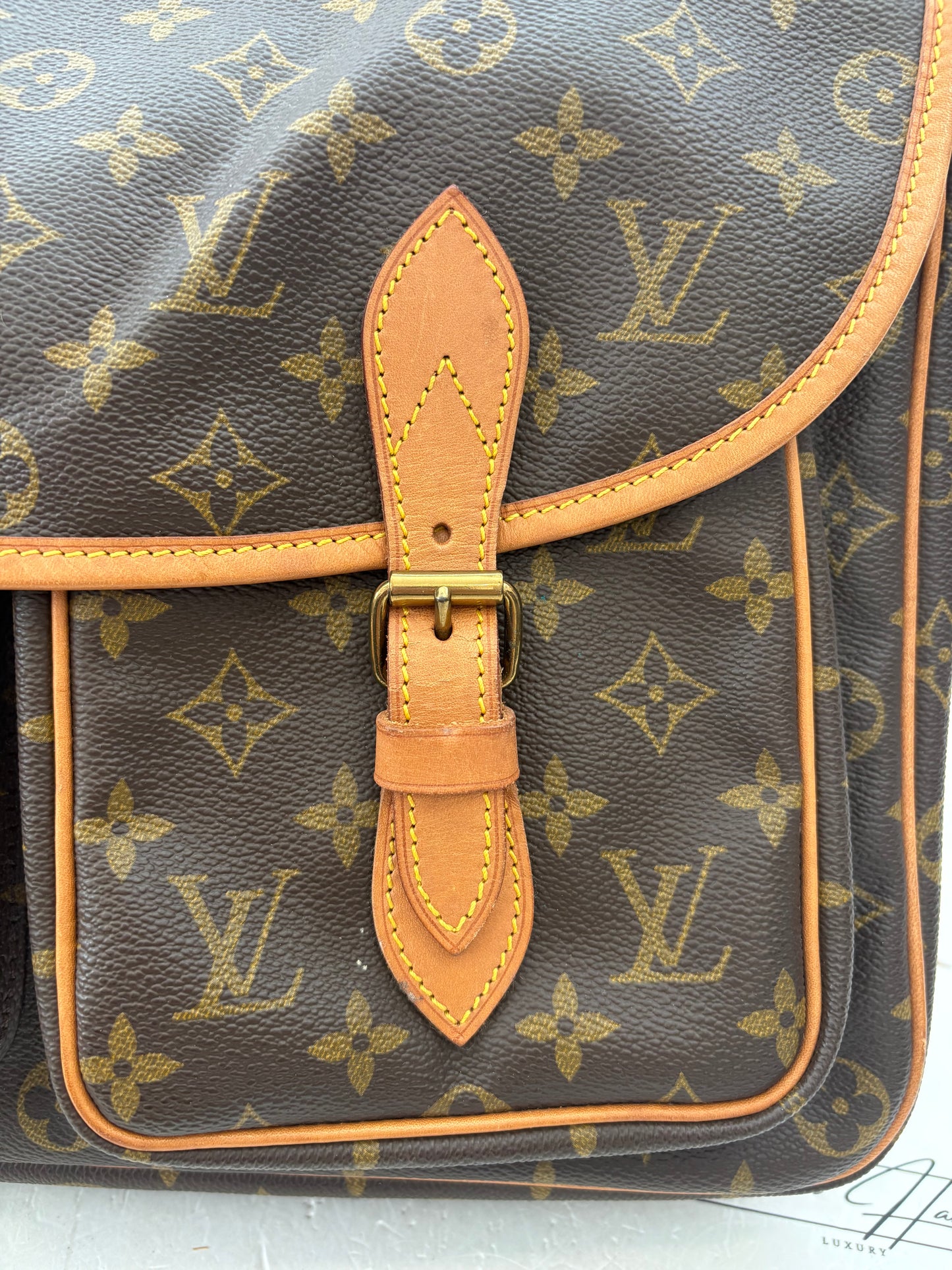 018966 - Louis Vuitton Gibeciere