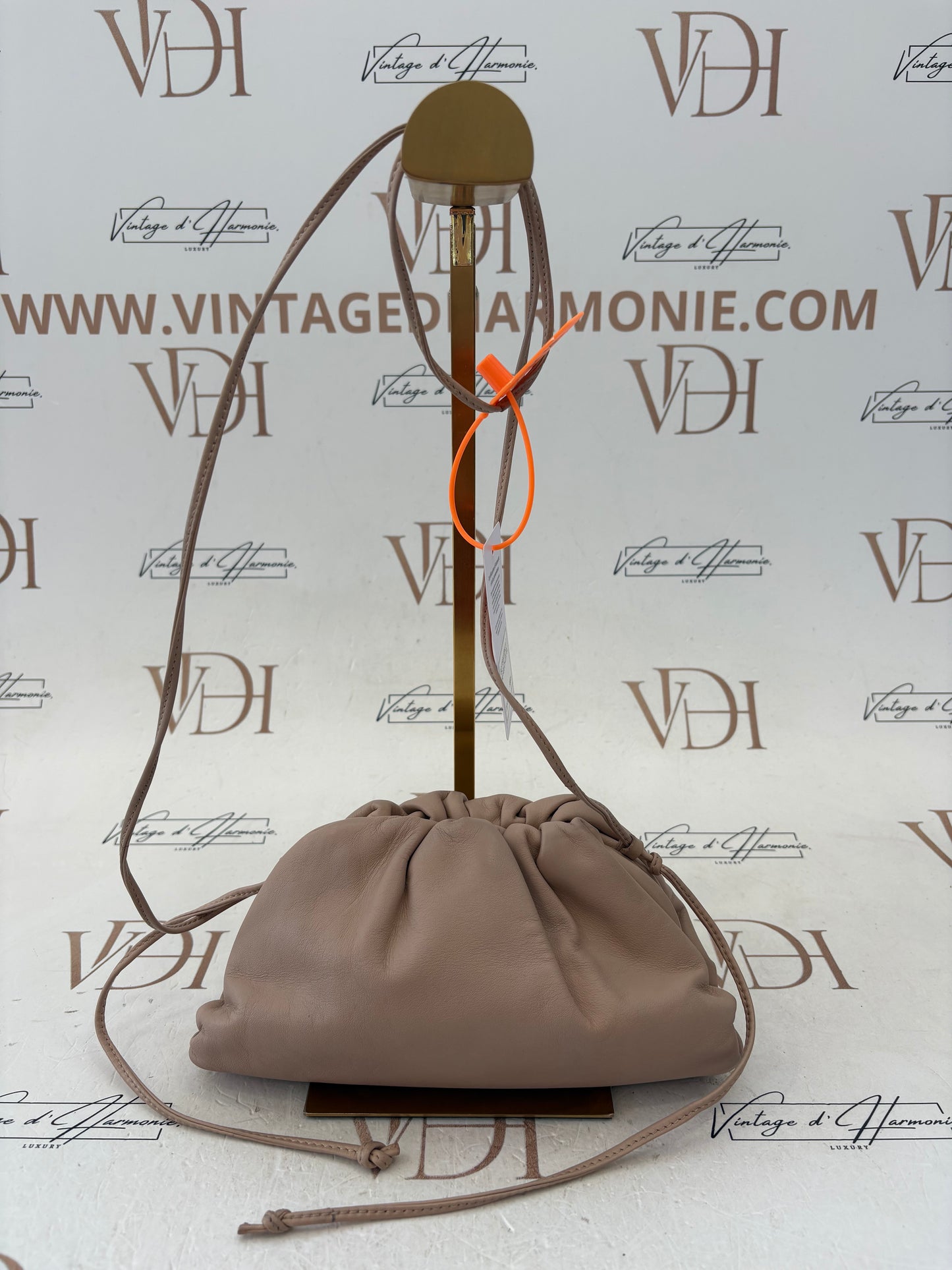 201313 - Bottega Veneta The Pouch