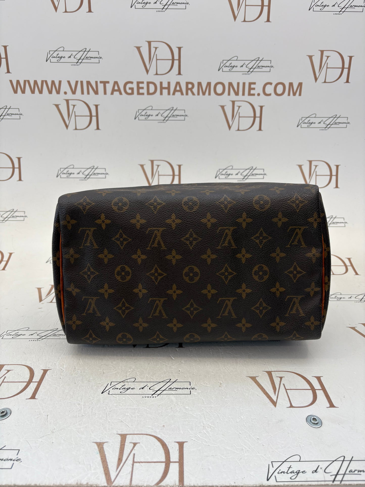 018149 - Louis Vuitton Speedy 30
