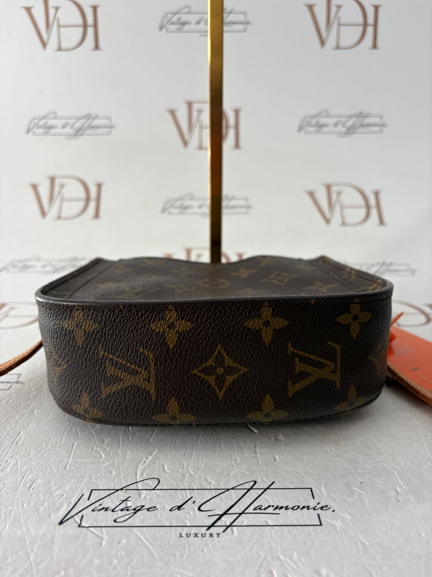 018920 - Louis Vuitton Saint Cloud PM