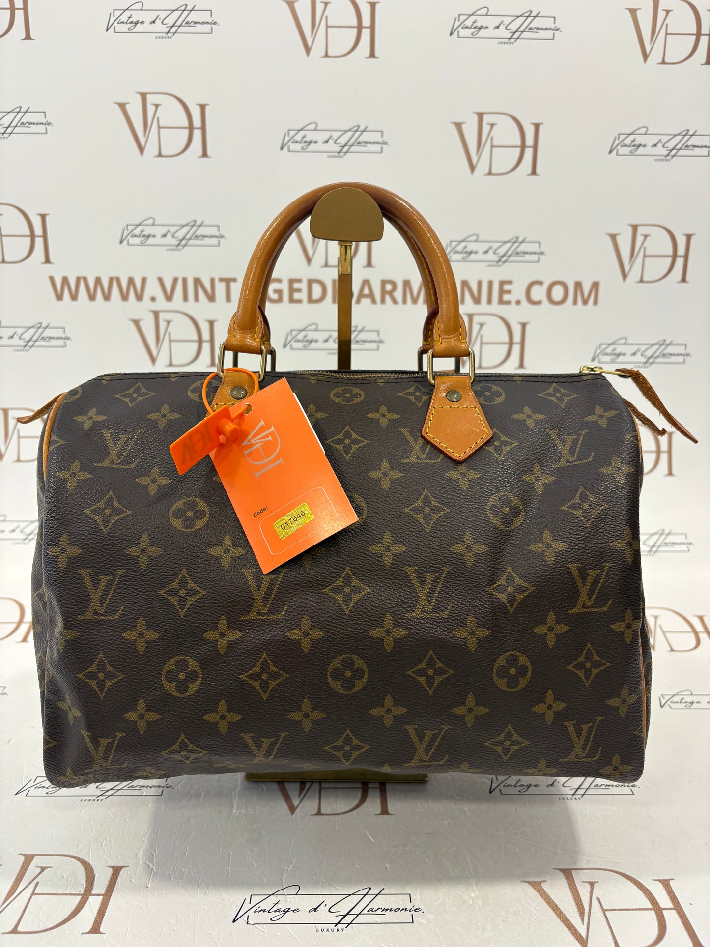 017646 - Louis Vuitton Speedy 30