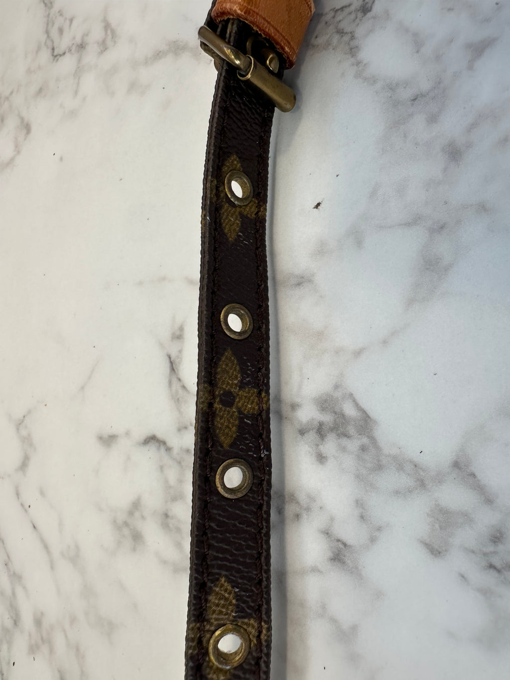 Louis Vuitton Mini Danube