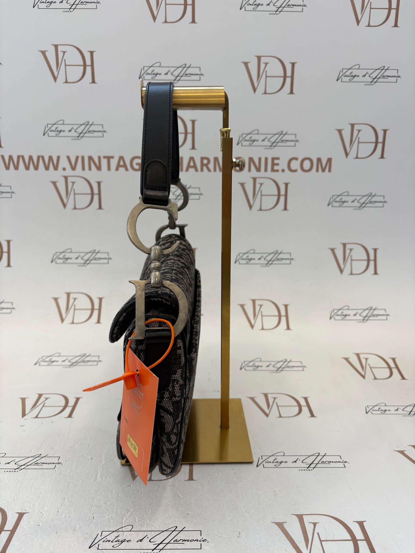 018199 - Dior Trotter Saddle