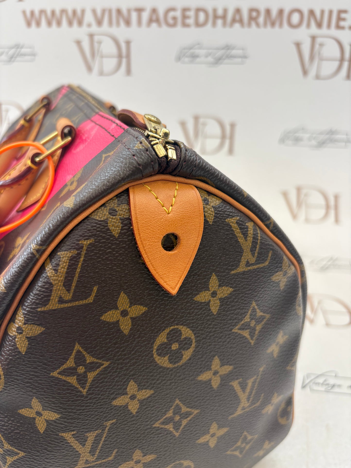 384207 - Louis Vuitton Speedy 30