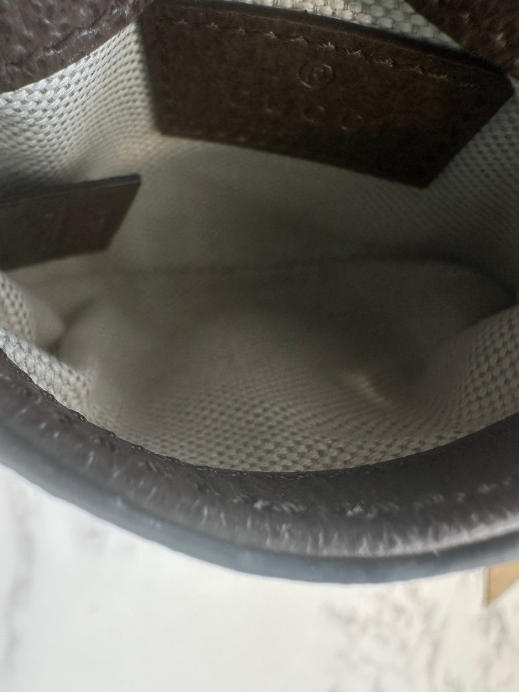 Gucci Brown GG Supreme Blondie