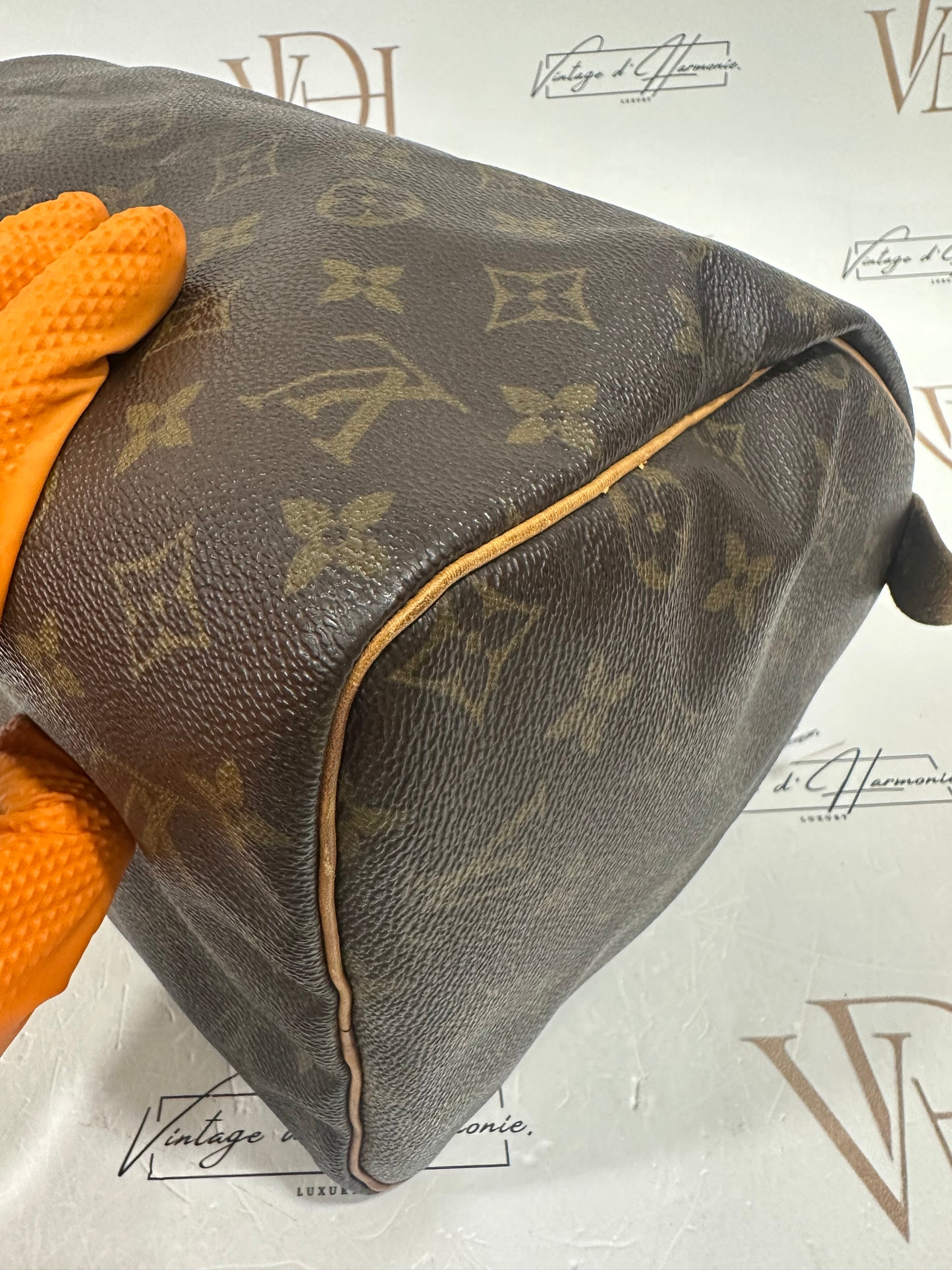 017724 - Louis Vuitton Speedy 30