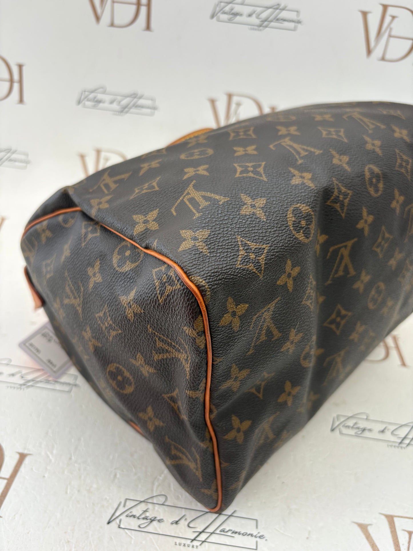 201793 - Louis Vuitton Speedy 30