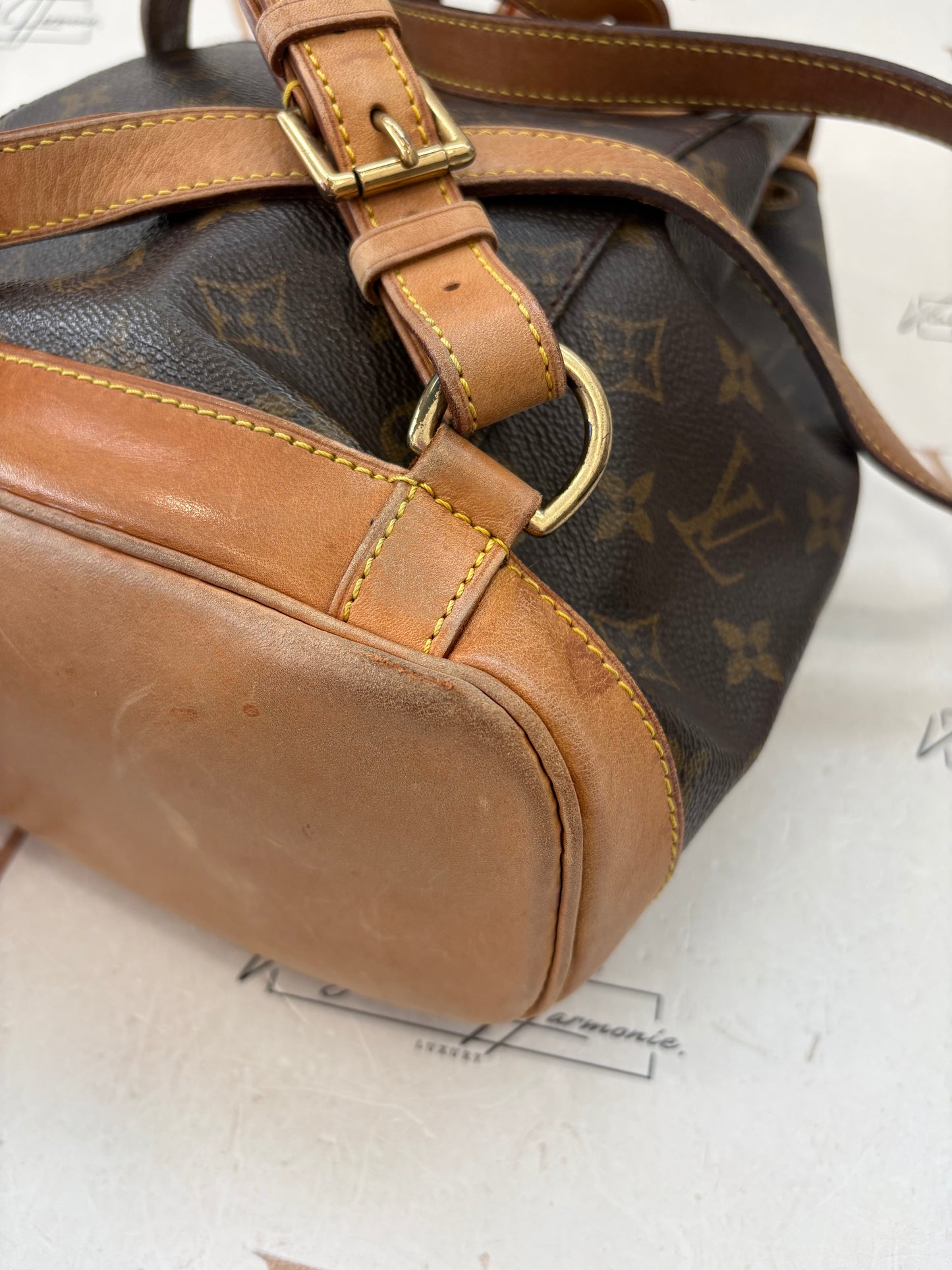 018879 - Louis Vuitton Montsouris MM
