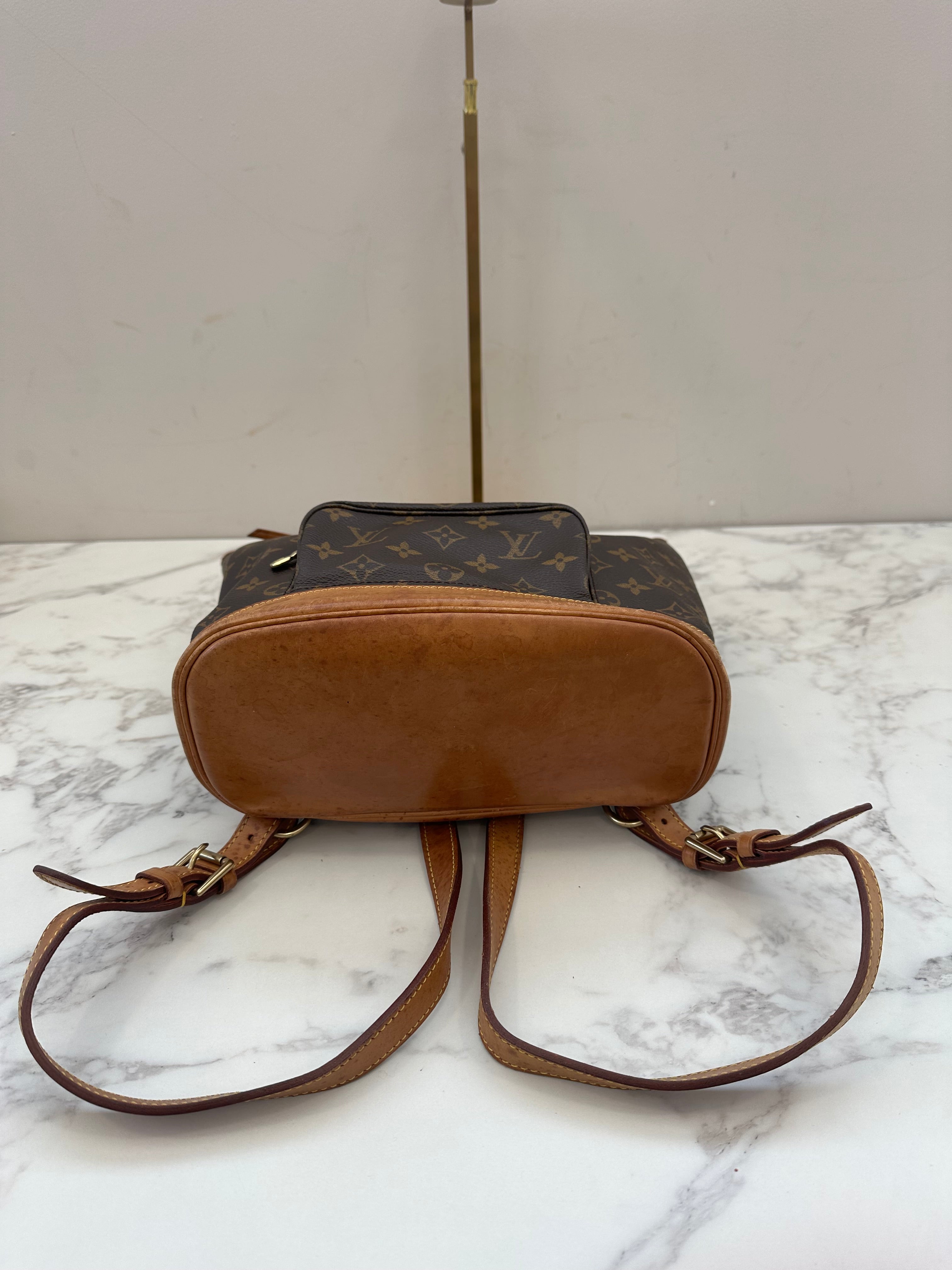 Louis Vuitton Montsouris MM