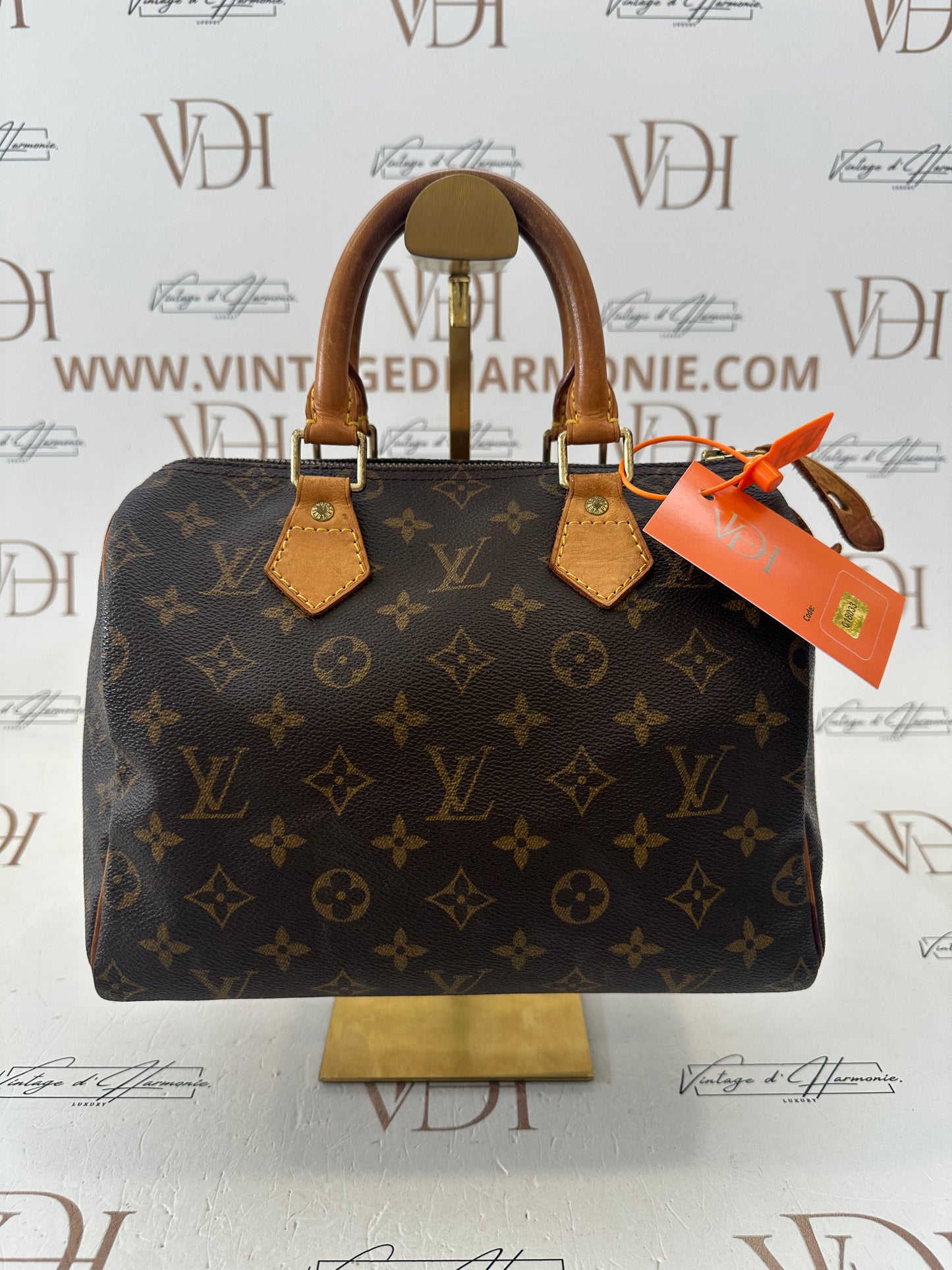018033 - Louis Vuitton Speedy 25