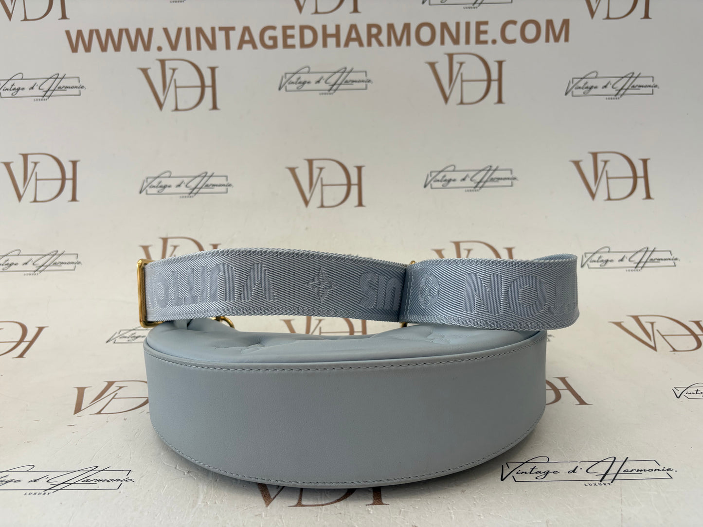 018554 - Louis Vuitton Light Blue Bubblegram Over The Moon