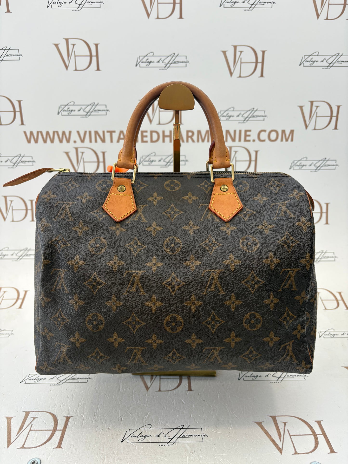 201793 - Louis Vuitton Speedy 30