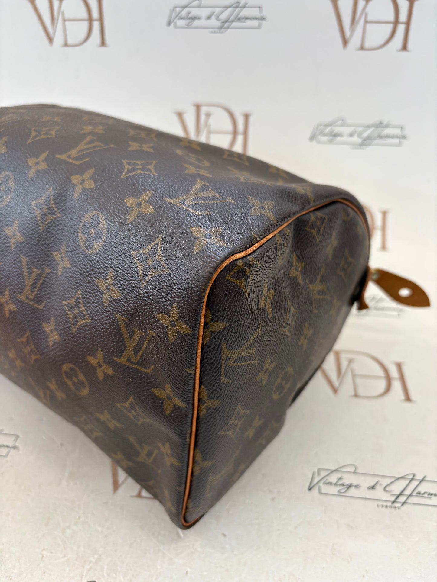 017213 - Louis Vuitton Speedy 30