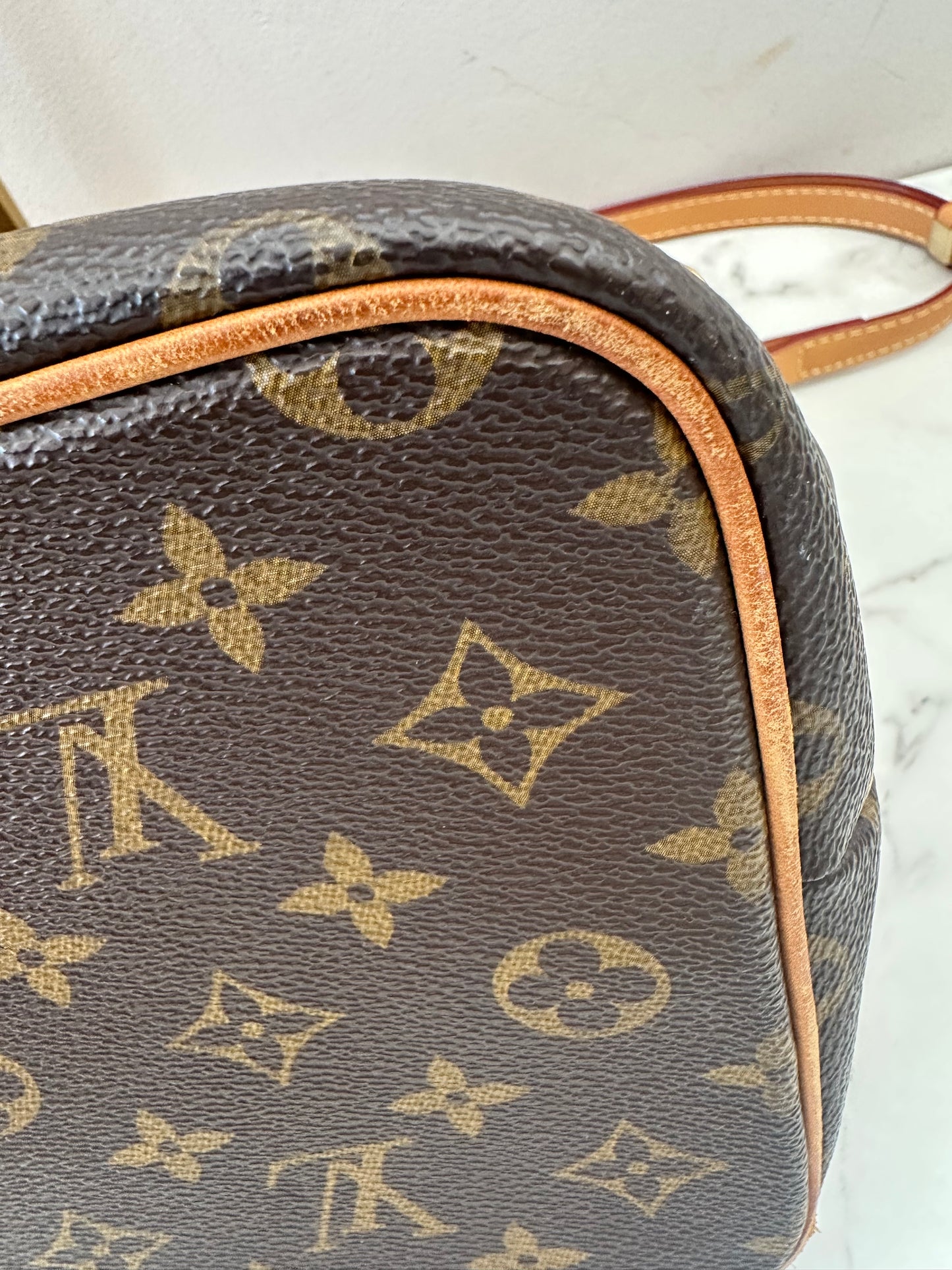 Louis Vuitton Palermo PM