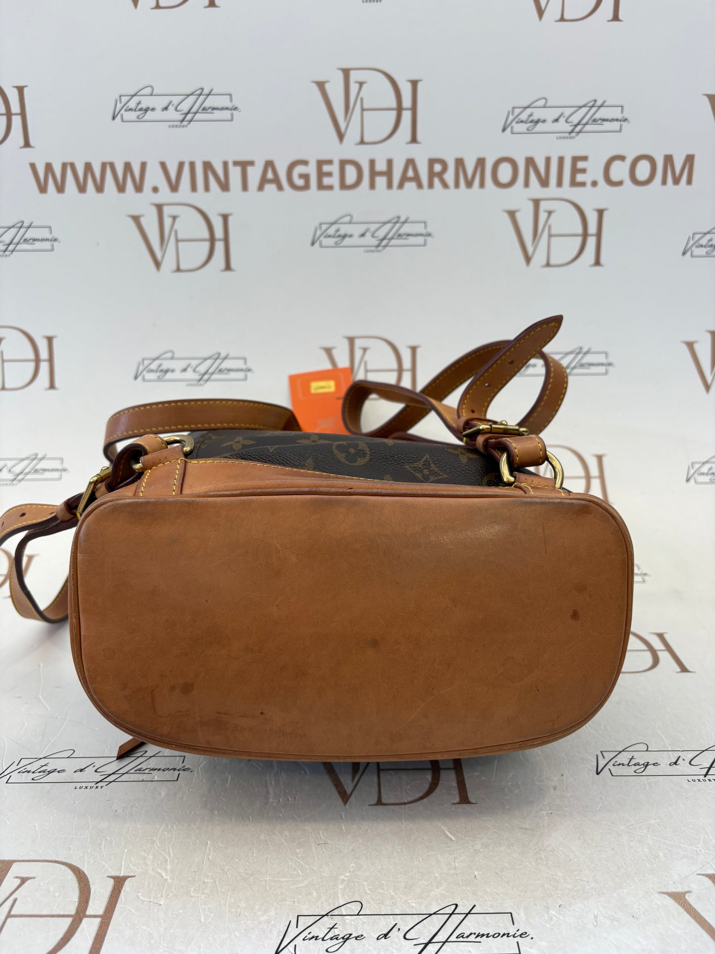 018897 - Louis Vuitton Montsouris MM