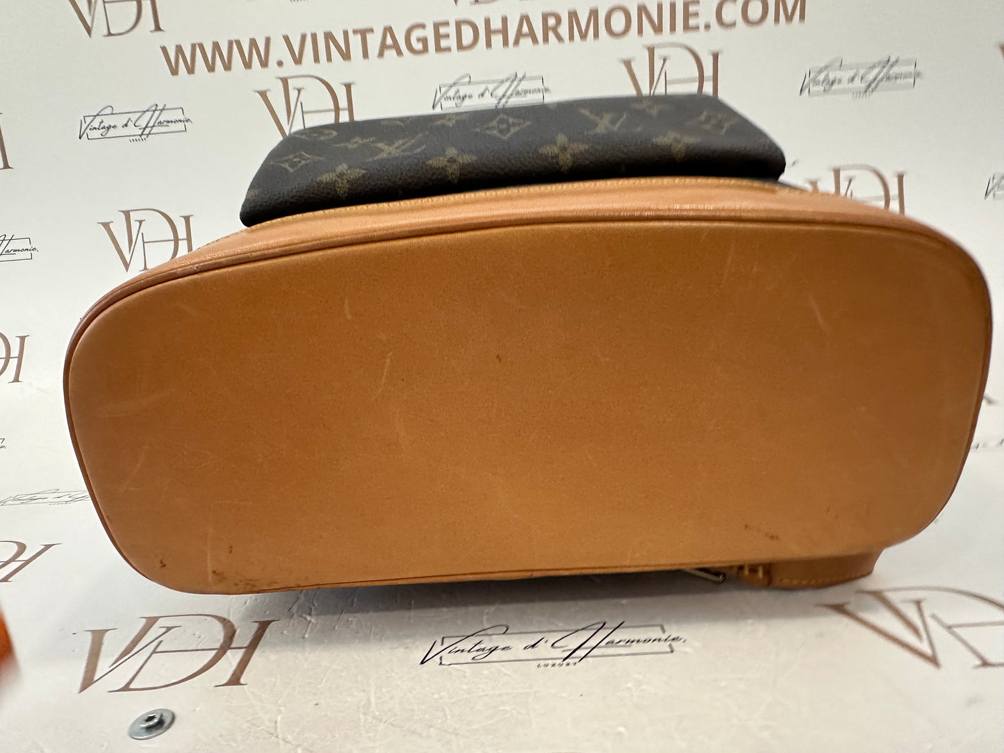 016954 - Louis Vuitton Montsouris GM