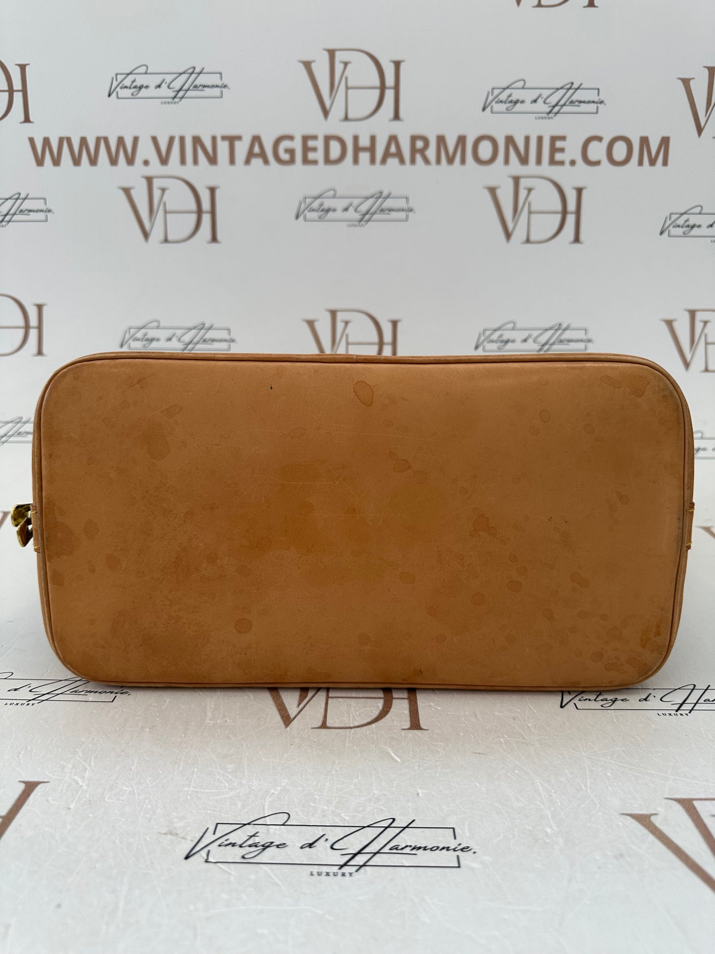 016904 - Louis Vuitton Alma