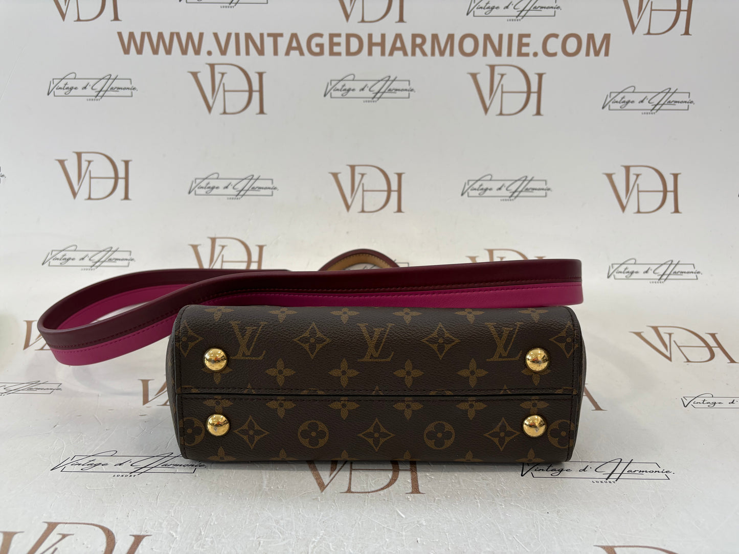 200978 - Louis Vuitton Cluny