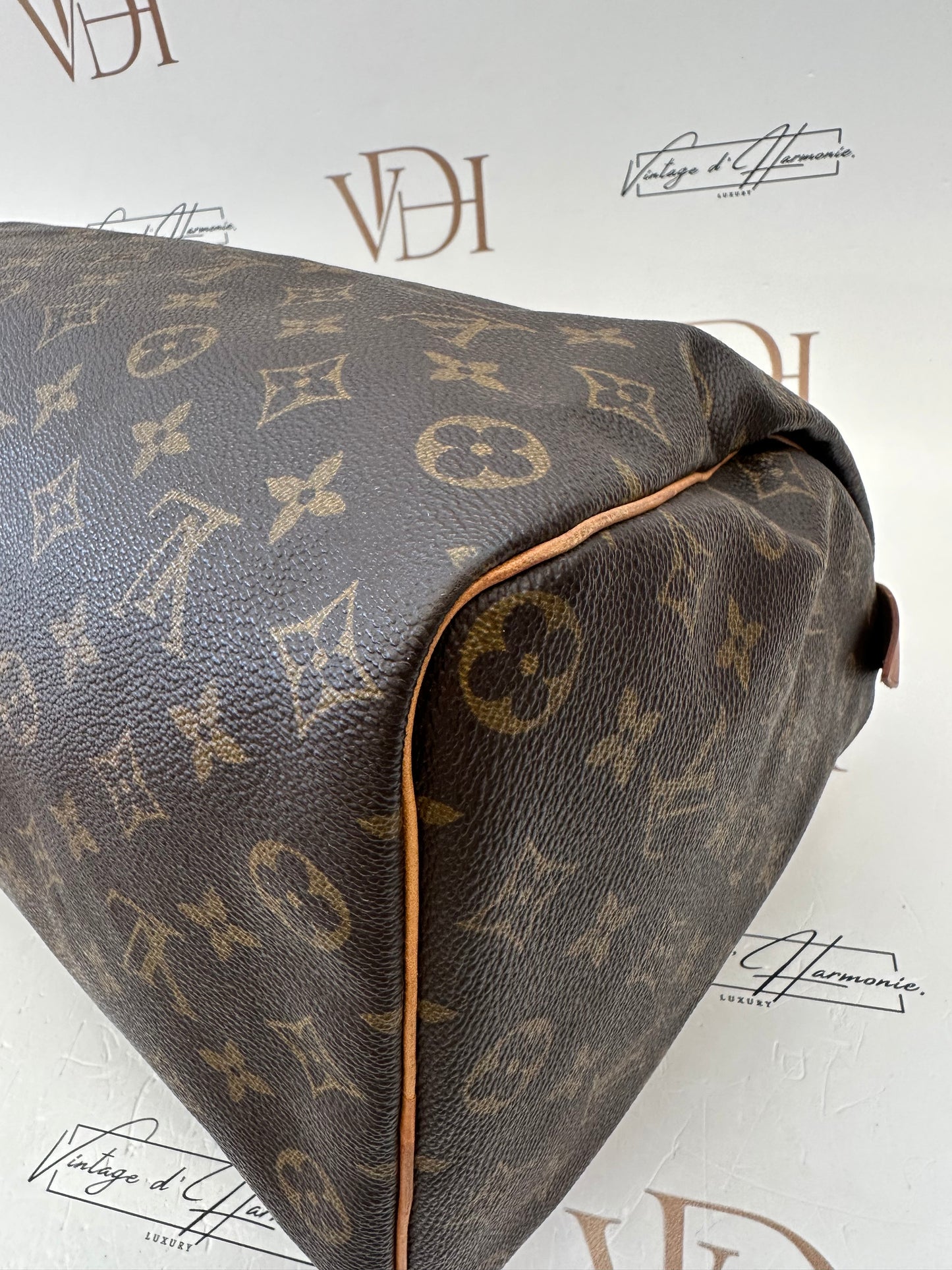 017863 - Louis Vuitton Speedy 35