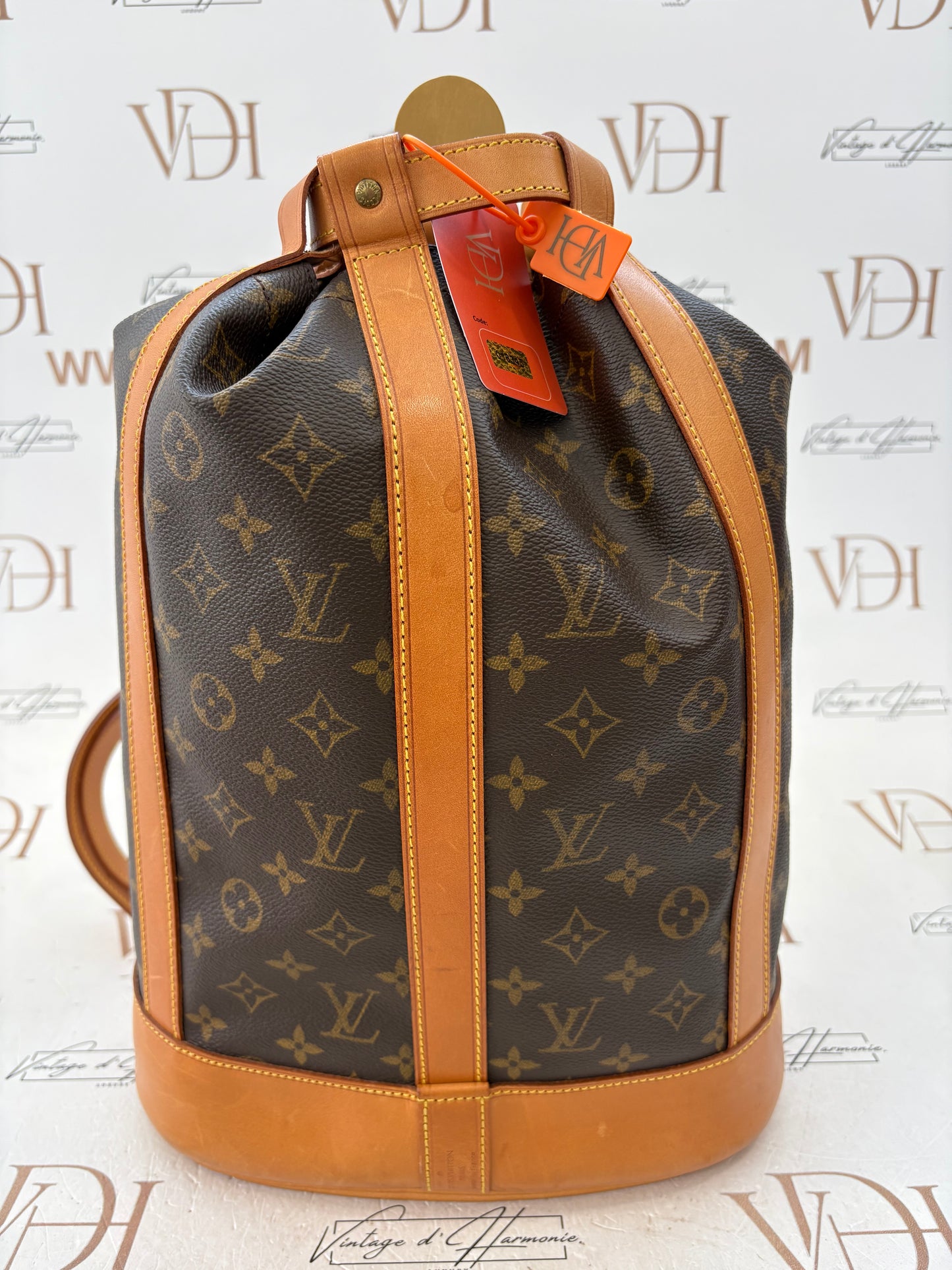 018345 - Louis Vuitton Randonne PM