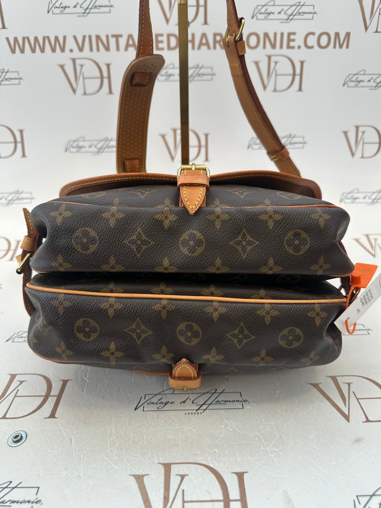 017887 - Louis Vuitton Saumur 30