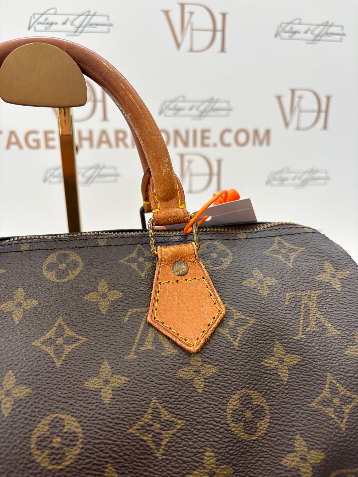 018801 - Louis Vuitton Speedy 30