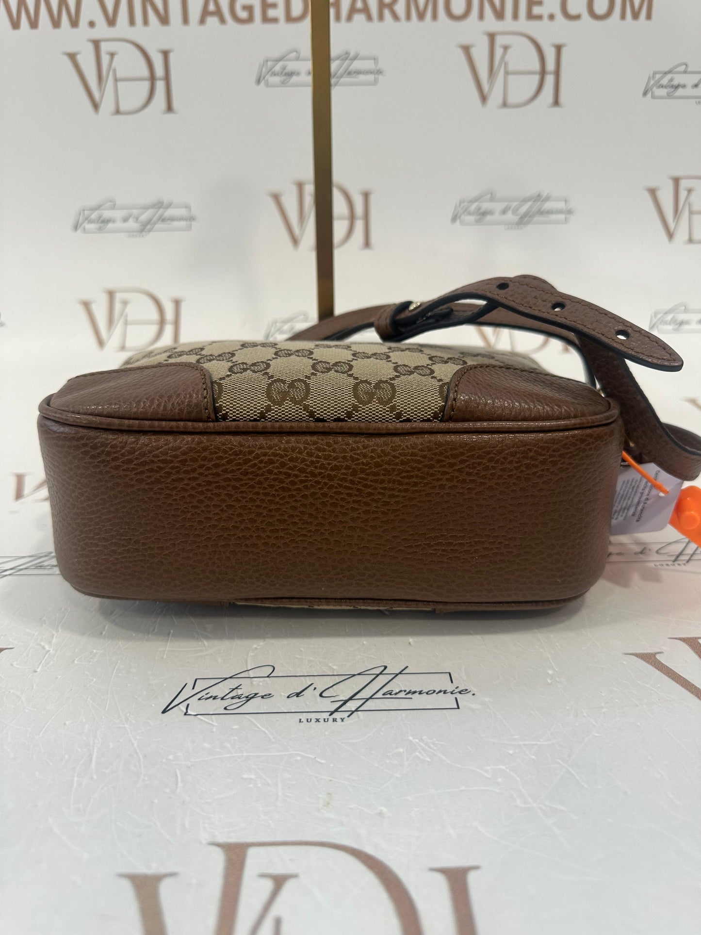 382881 - Gucci Bree