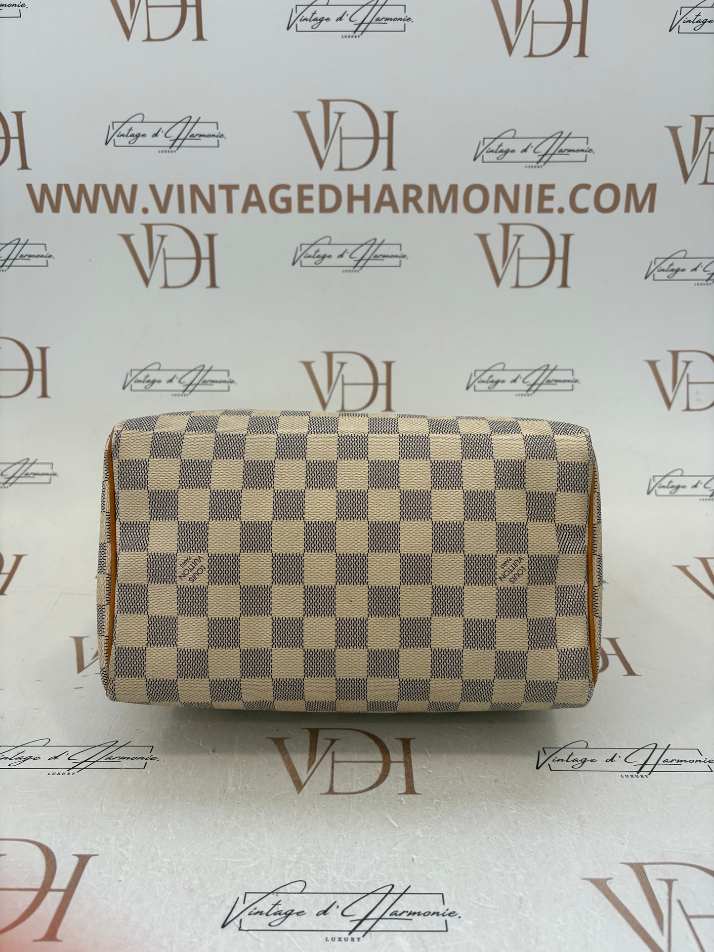 383823 - Louis Vuitton Speedy 25