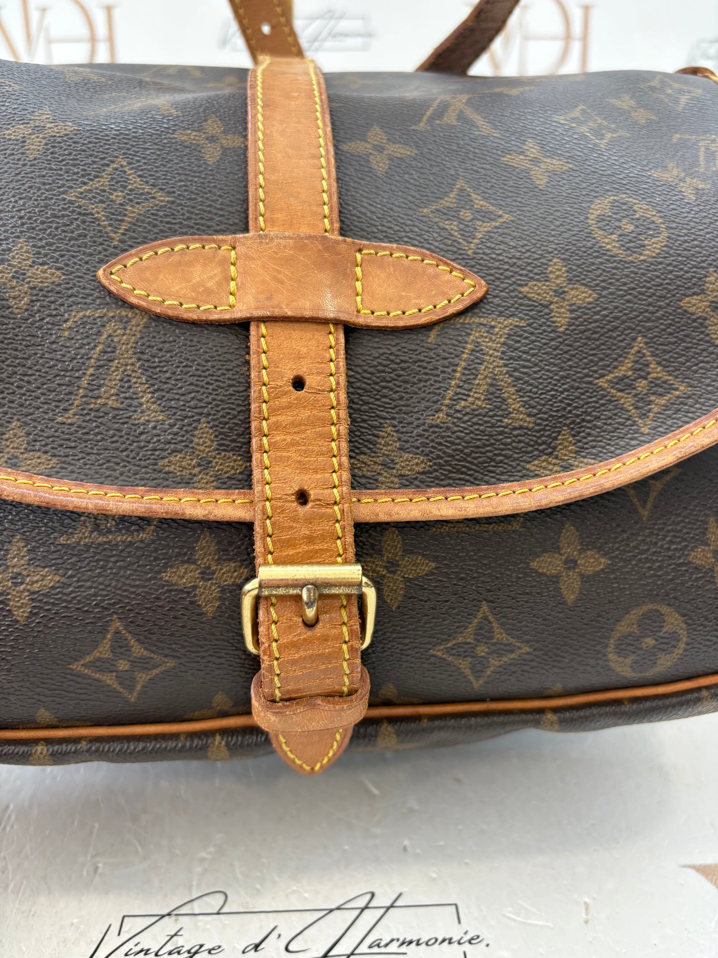 018283 - Louis Vuitton Saumur 30