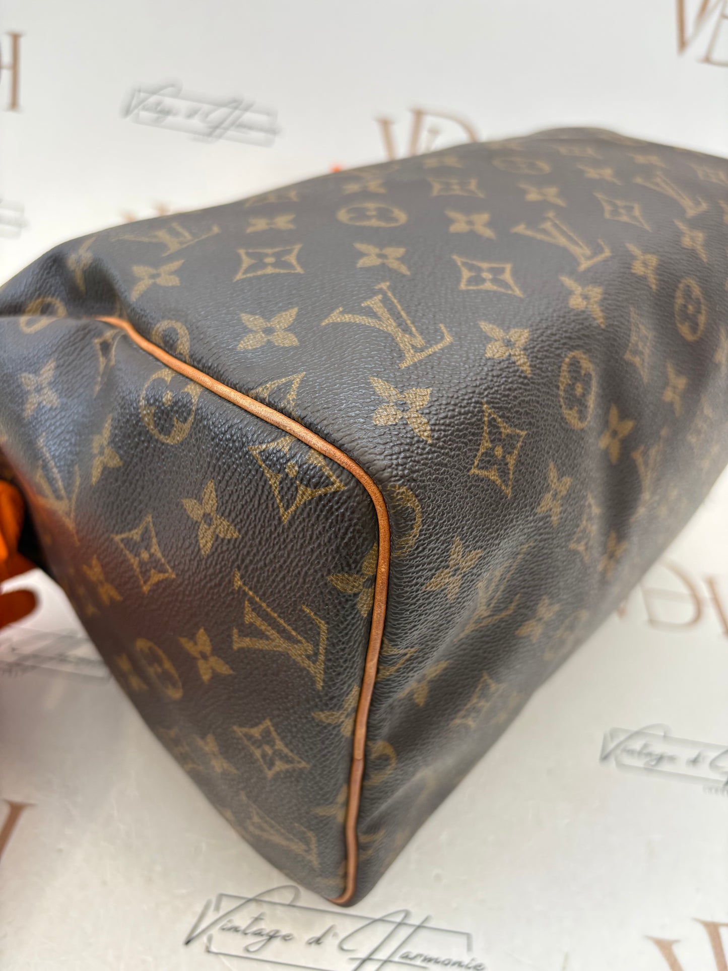 018808 - Louis Vuitton Speedy